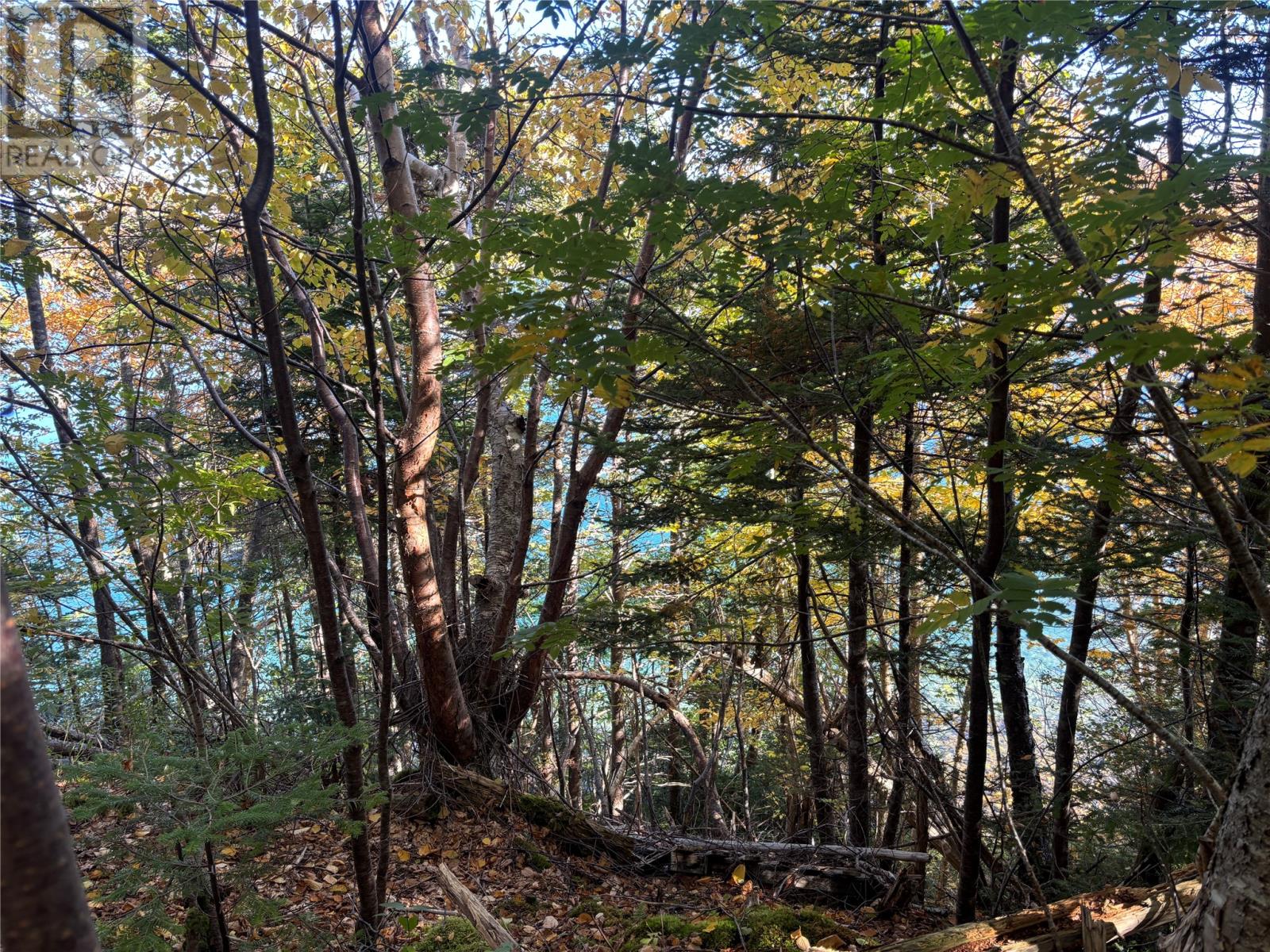 Lot 0 Pikes Road, Spread Eagle — photo 5