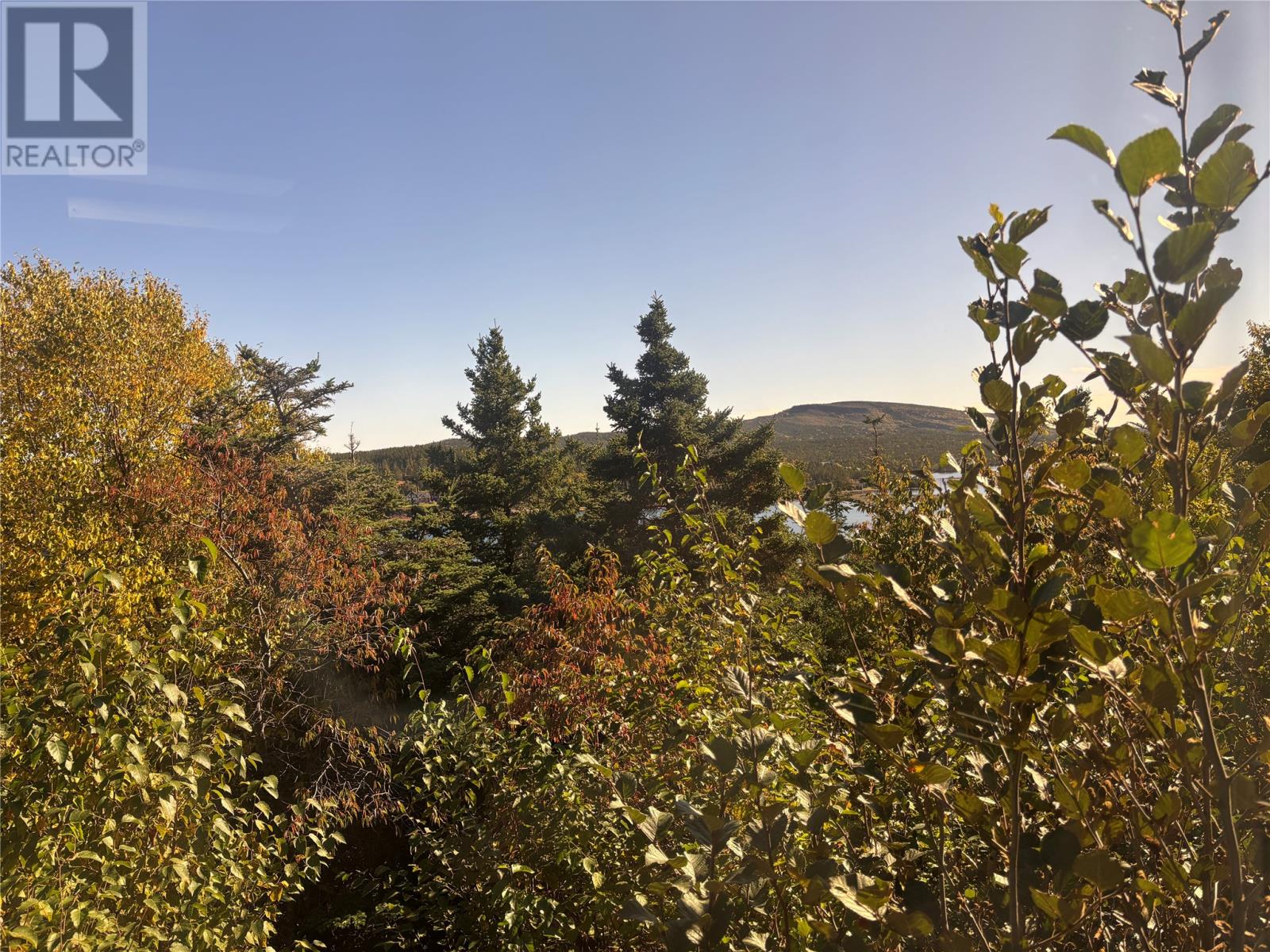 Lot 0 Pikes Road, Spread Eagle — photo 7