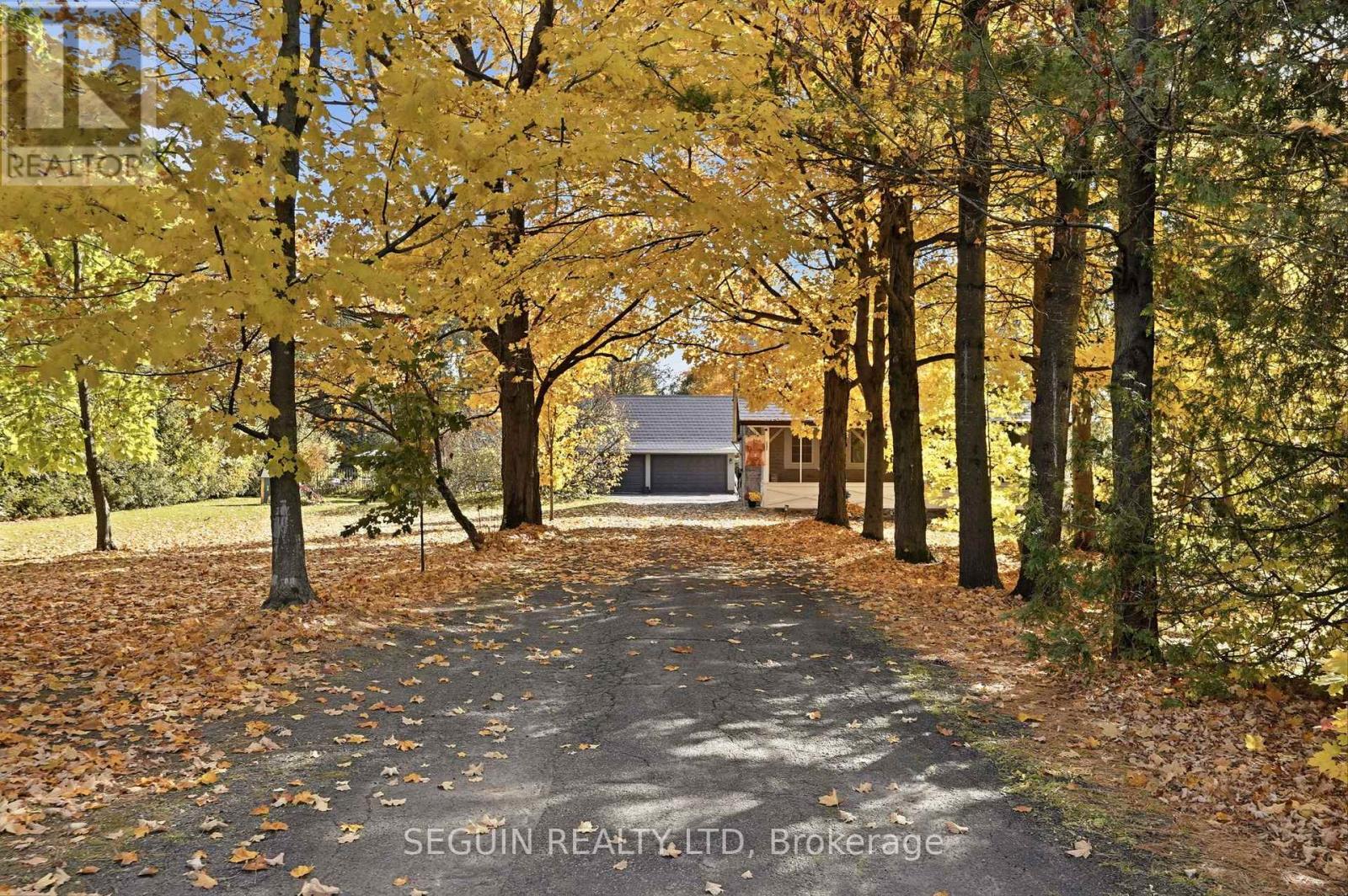 1353 Ritchance Road, Champlain, Ontario  K0B 1K0 - Photo 2 - X14111350