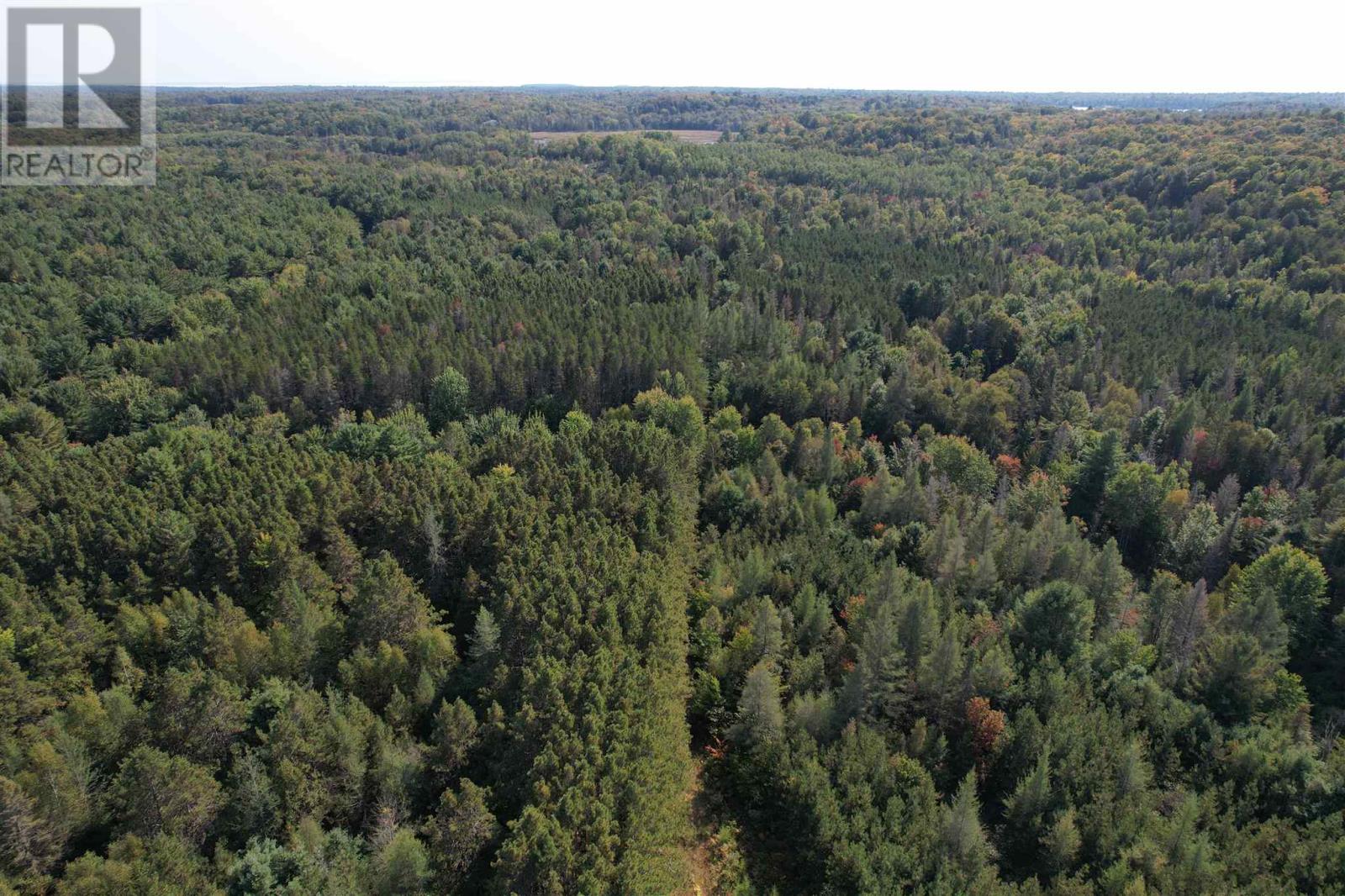 969 Chevis Rd, Iron Bridge, Ontario  P0R 1H0 - Photo 13 - SM262049