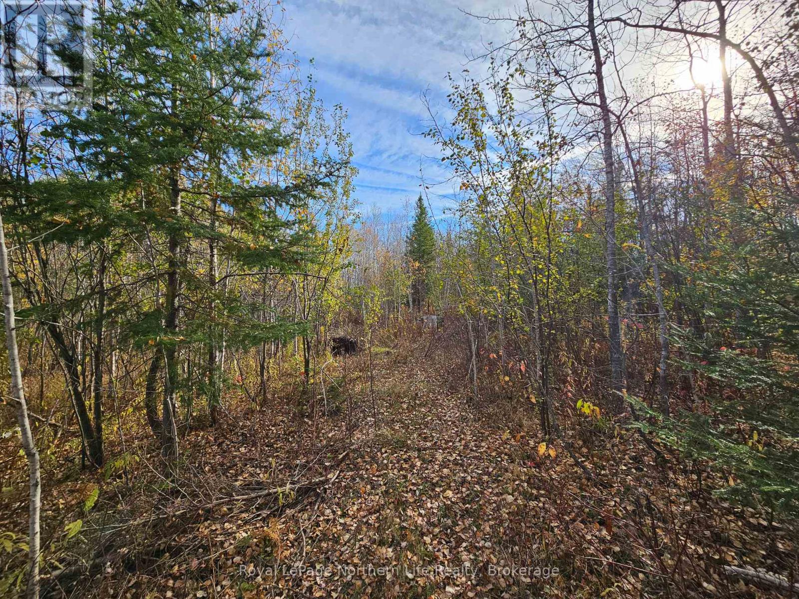472 Albert Street, Temiskaming Shores, Ontario  P0J 1K0 - Photo 13 - T14111660