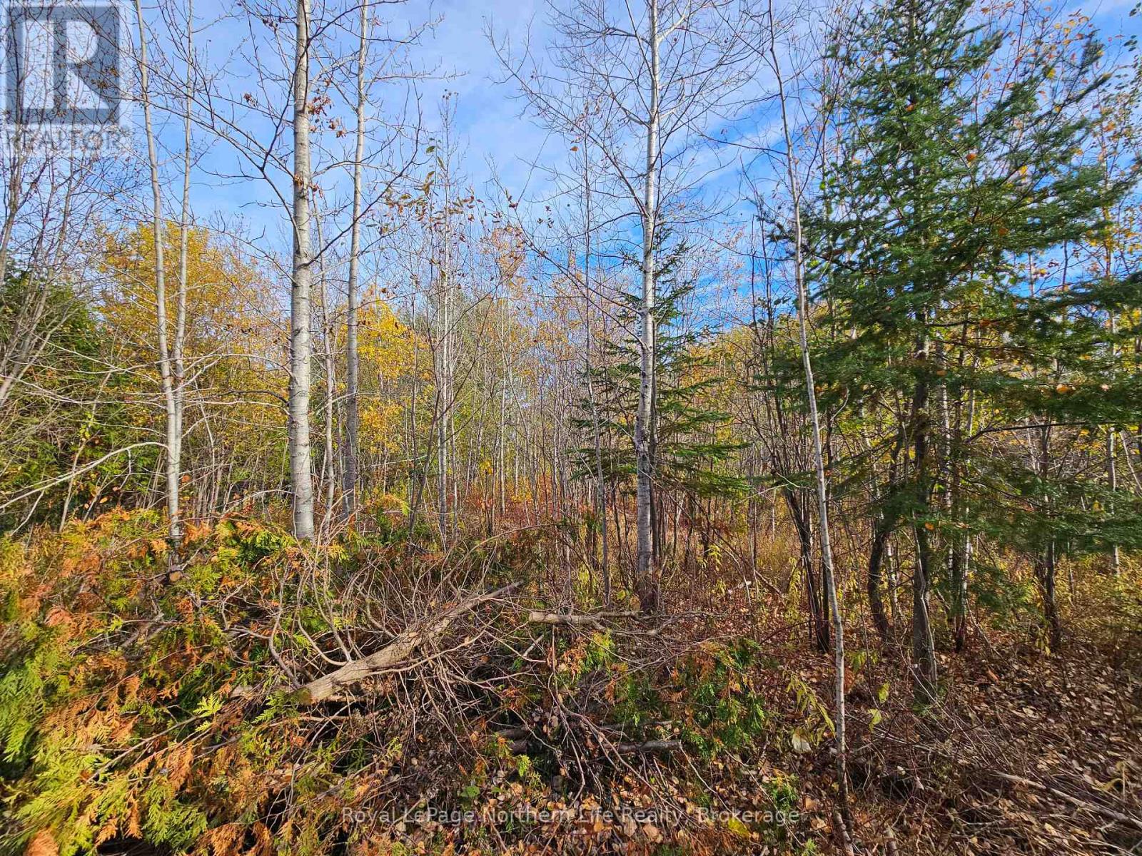 472 Albert Street, Temiskaming Shores, Ontario  P0J 1K0 - Photo 14 - T14111660