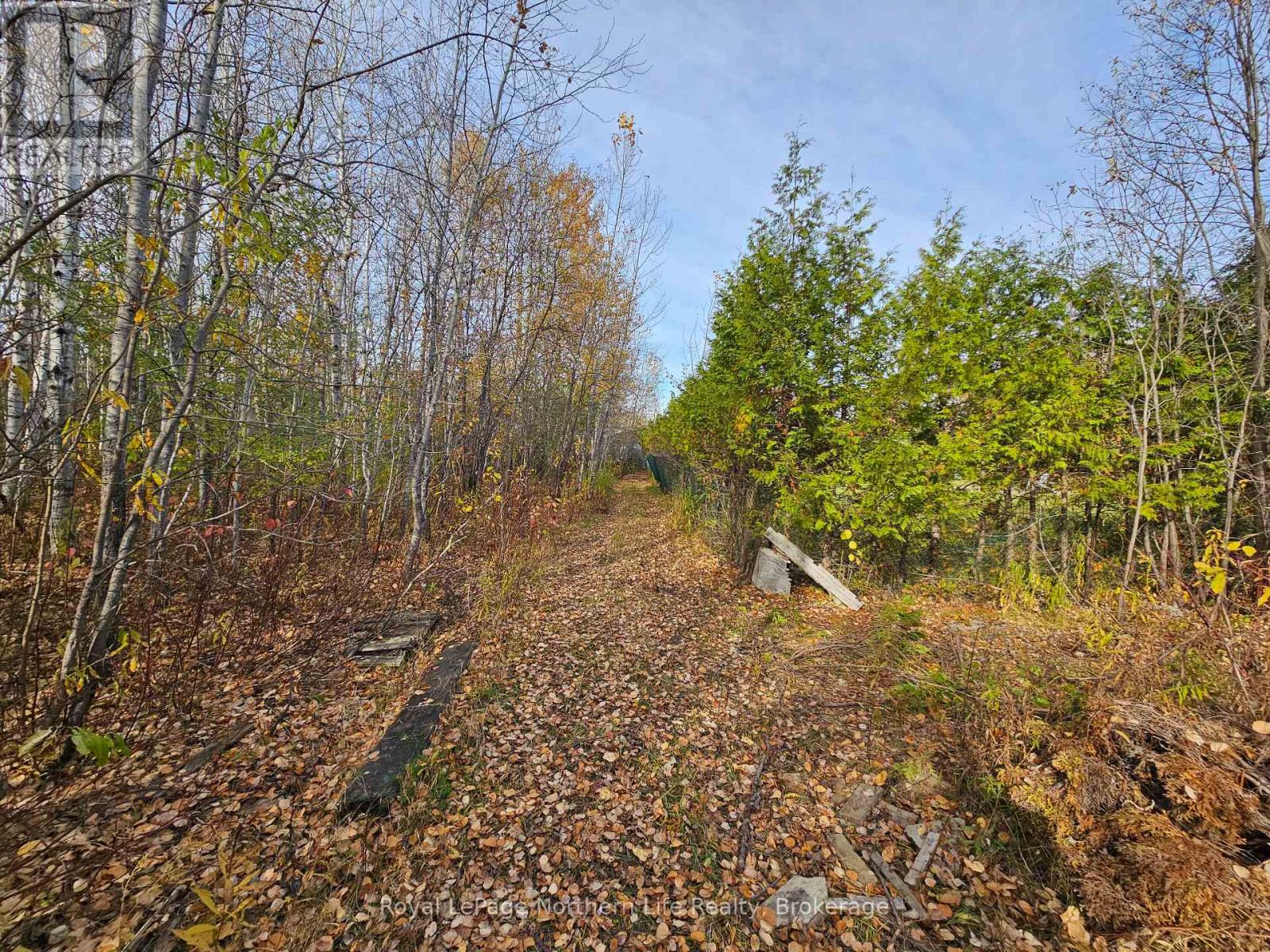 472 Albert Street, Temiskaming Shores, Ontario  P0J 1K0 - Photo 15 - T14111660