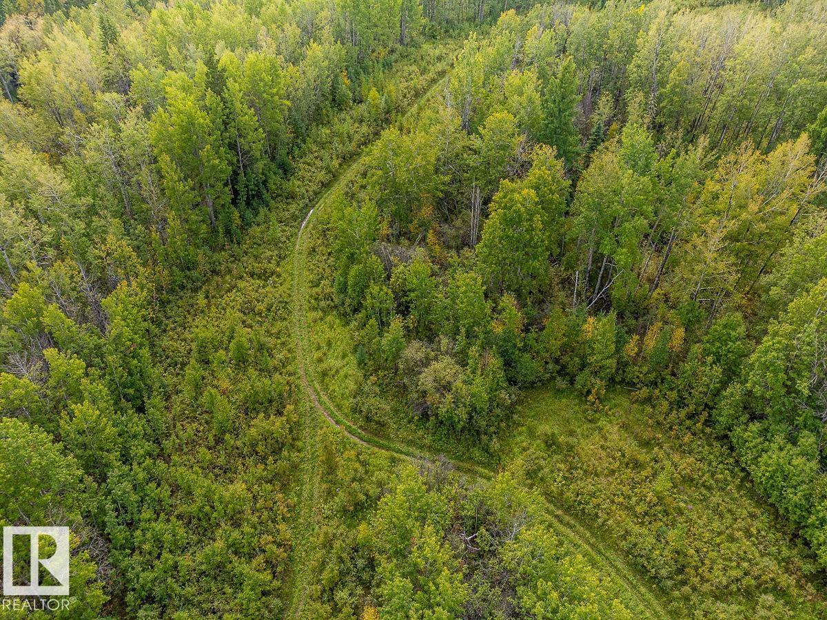 5430 Twp Road 494, Rural Brazeau County, Alberta  T0C 1W0 - Photo 11 - E4514031