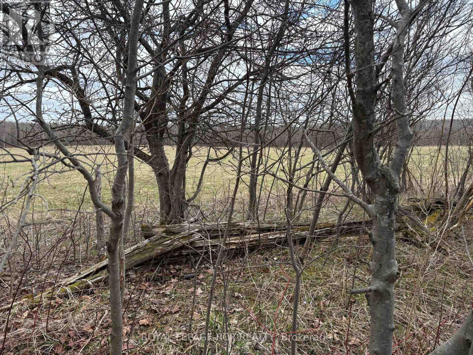 Ptlt 20 Con 8 (9th Line), Amaranth, Ontario  L9W 0H4 - Photo 14 - X12888330
