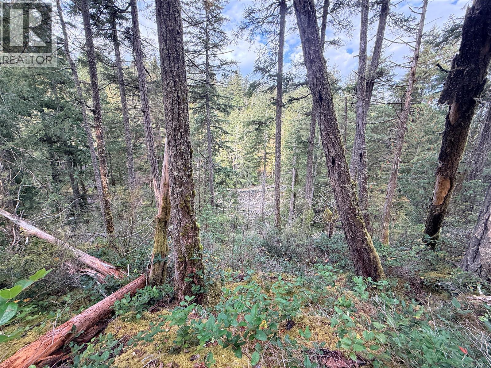 Lot 42 Sonora Island, Sonora Island, British Columbia  V0P 1W0 - Photo 11 - 1053002