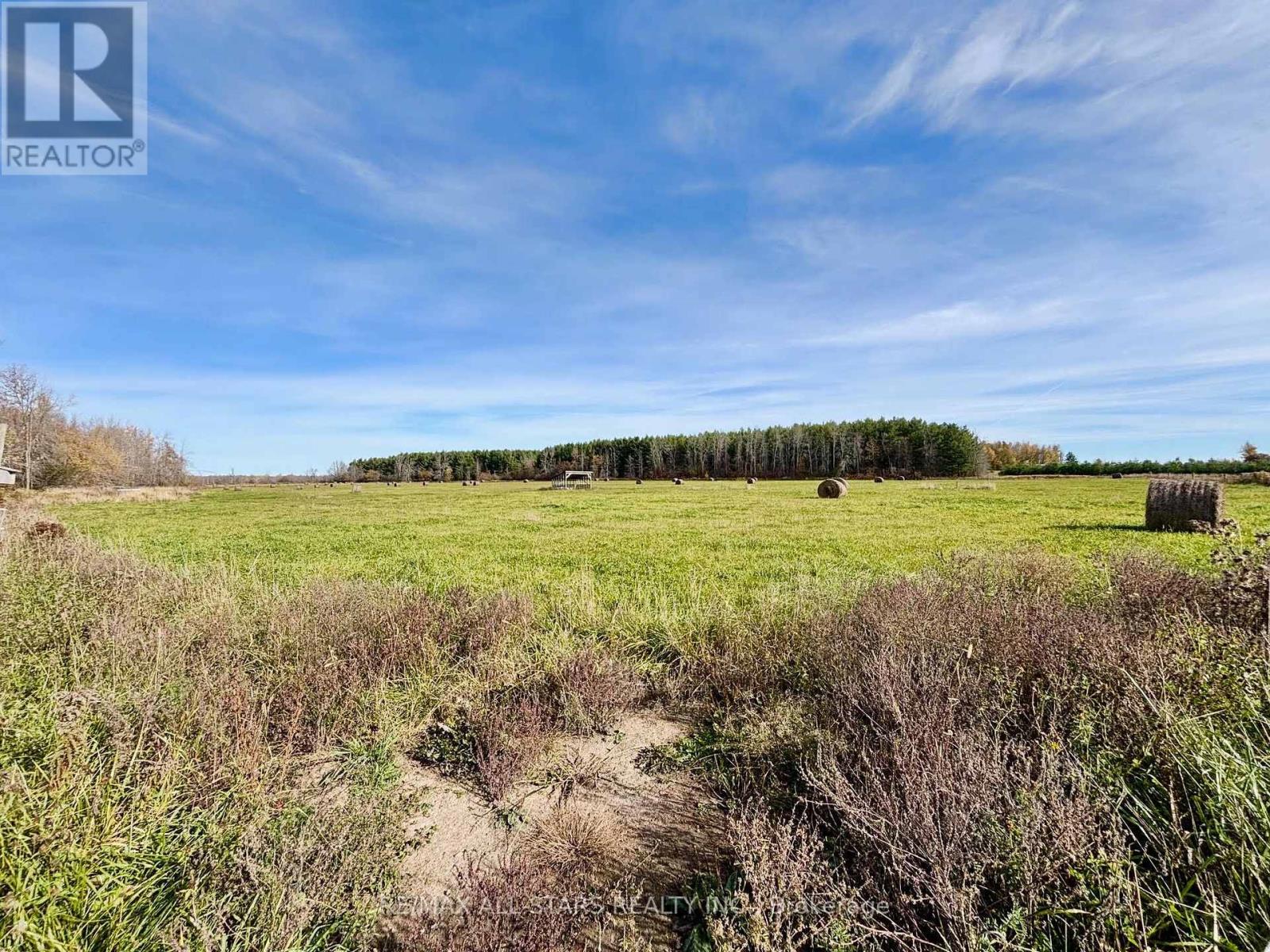 1314 Concession 9 Road, Ramara, Ontario  L0K 1B0 - Photo 41 - S14111734