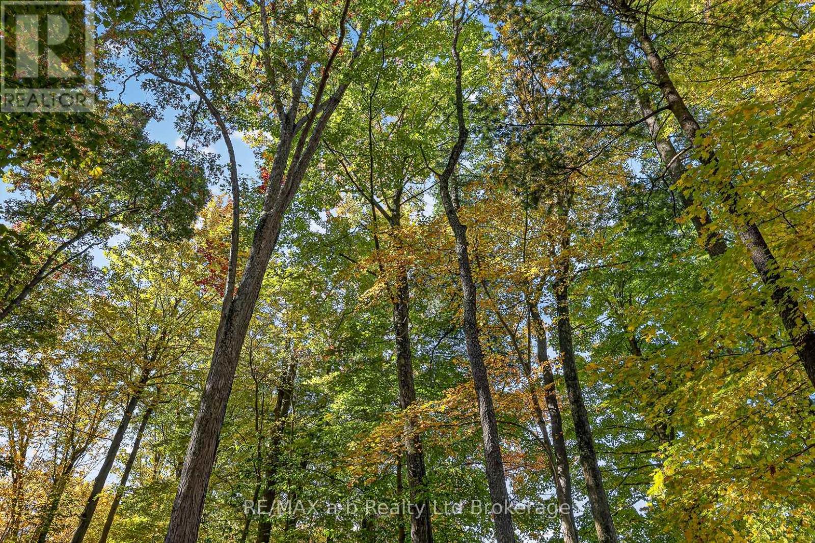 9741 Coyle Road, Bayham, Ontario  N4G 4G9 - Photo 33 - X13743970