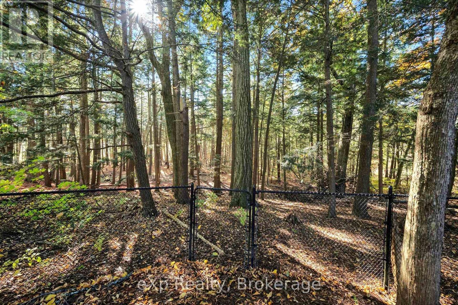 81 Sabrina Crescent, Kitchener, Ontario  N2P 1Y7 - Photo 6 - X14112108