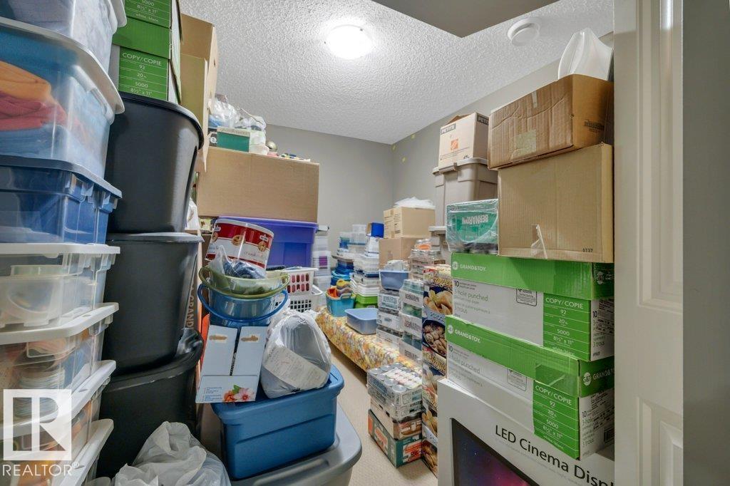 3728 Alexander Cr SW, Edmonton, Alberta  T6W 0W7 - Photo 39 - E4506279