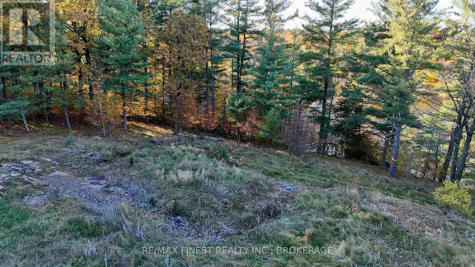187 Weisiger Lane, Rideau Lakes, Ontario  K7M 1H9 - Photo 10 - X14112178