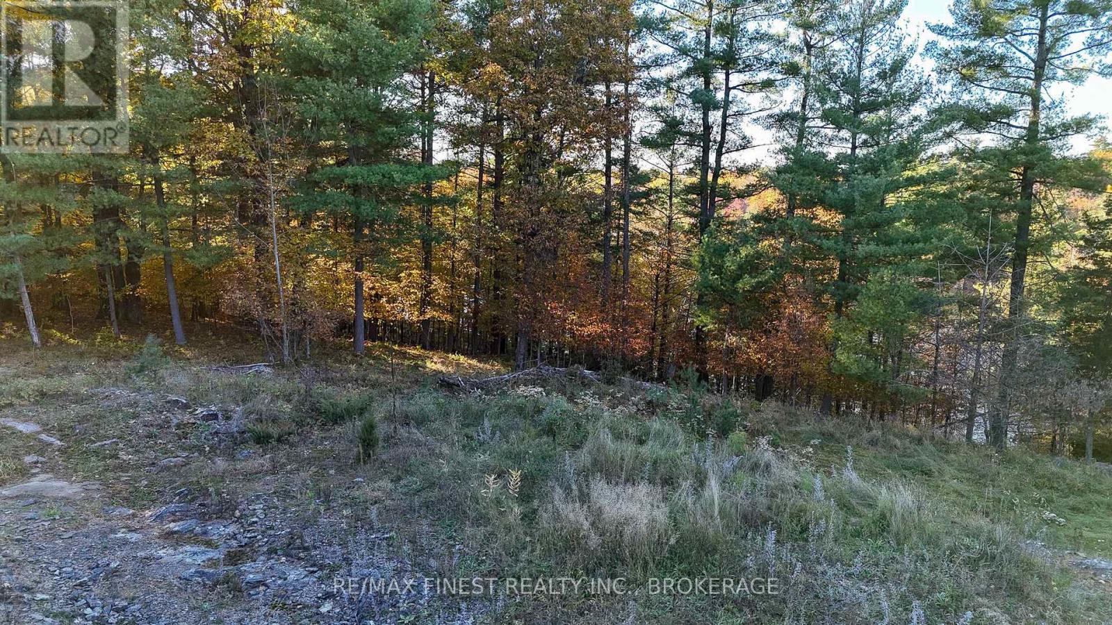 187 Weisiger Lane, Rideau Lakes, Ontario  K7M 1H9 - Photo 12 - X14112178