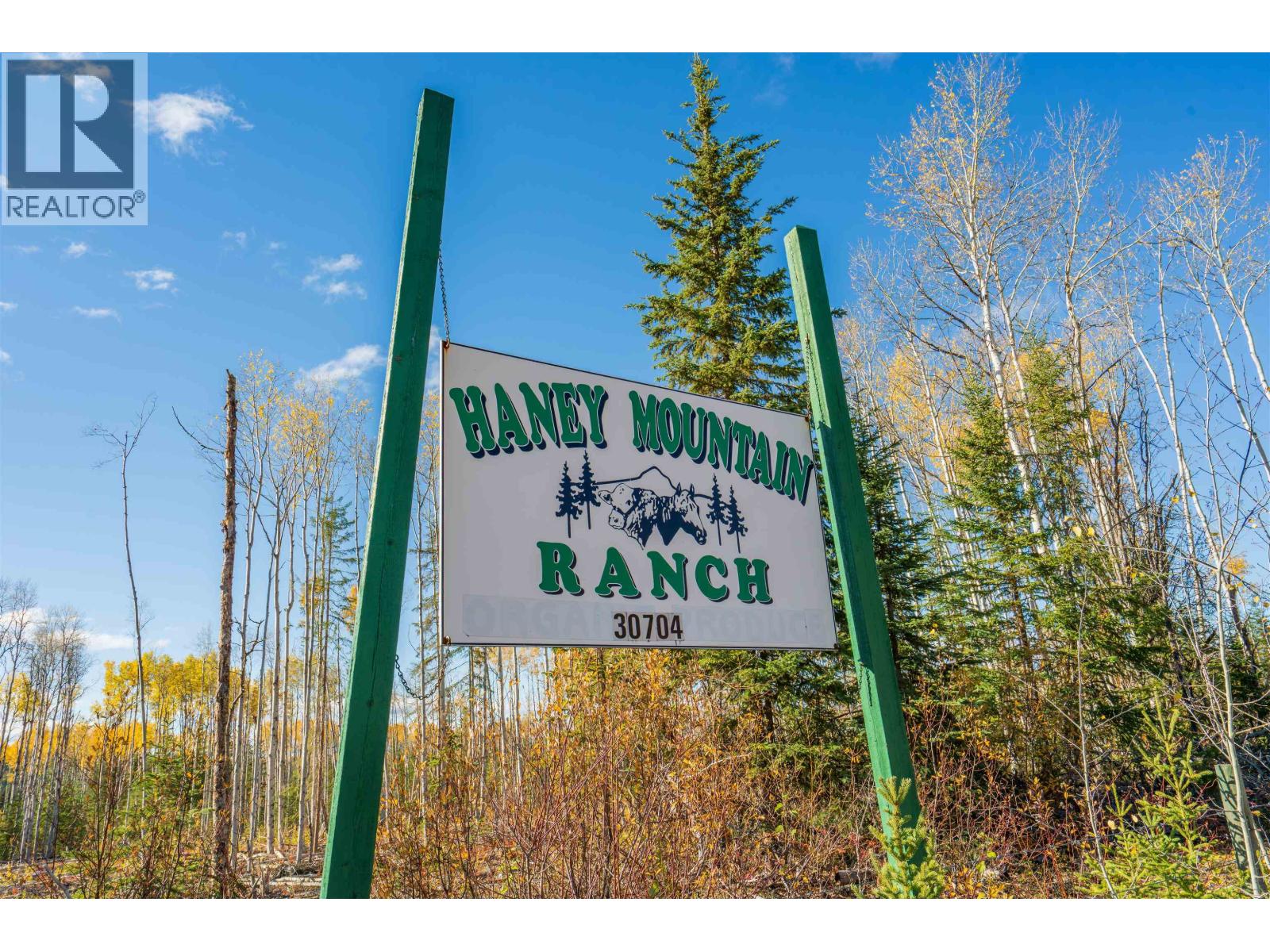30704 Raymond Road, Burns Lake, British Columbia V0J 1E0 - Photo 36 - C8083018