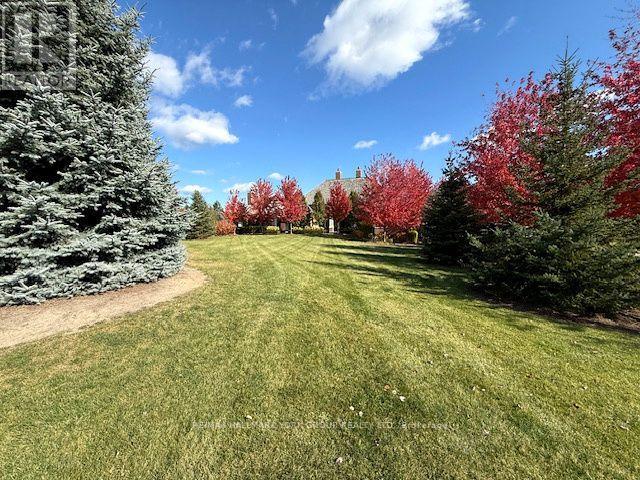 45 Adena Meadows Way, Aurora, Ontario  L4G 7Y6 - Photo 29 - N13437288