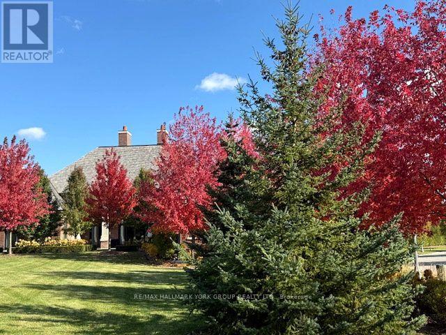 45 Adena Meadows Way, Aurora, Ontario  L4G 7Y6 - Photo 31 - N13437288