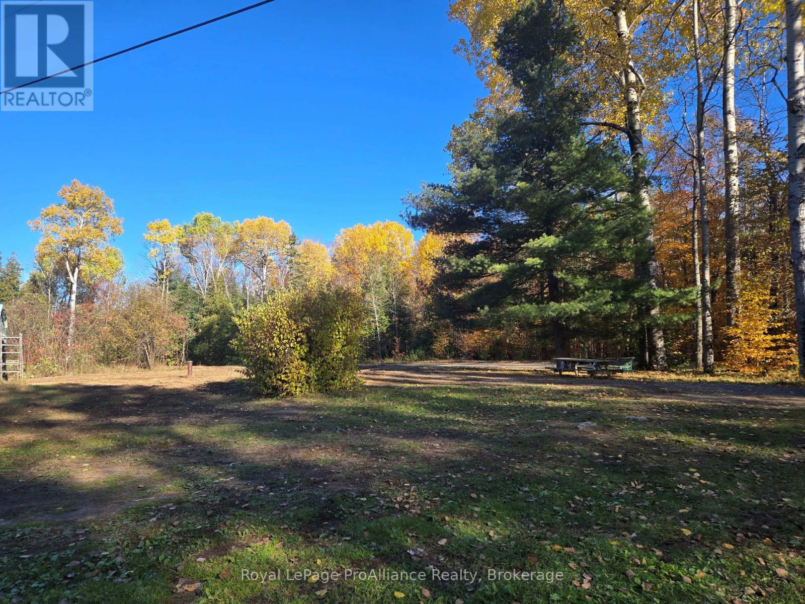 1394 Bordenwood Road, Central Frontenac, Ontario  K0H 1B0 - Photo 9 - X14106756