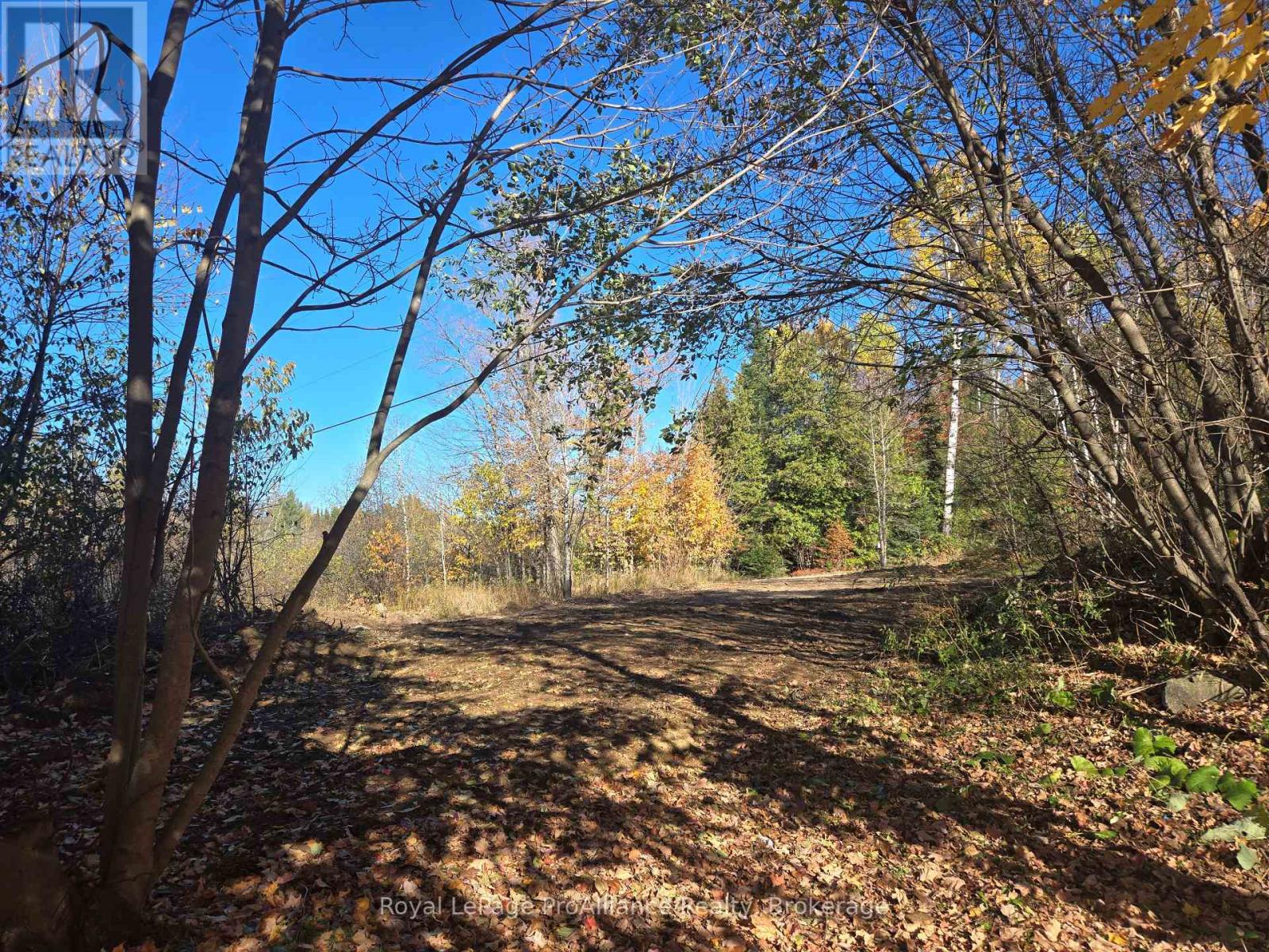1394 Bordenwood Road, Central Frontenac, Ontario  K0H 1B0 - Photo 12 - X14106756