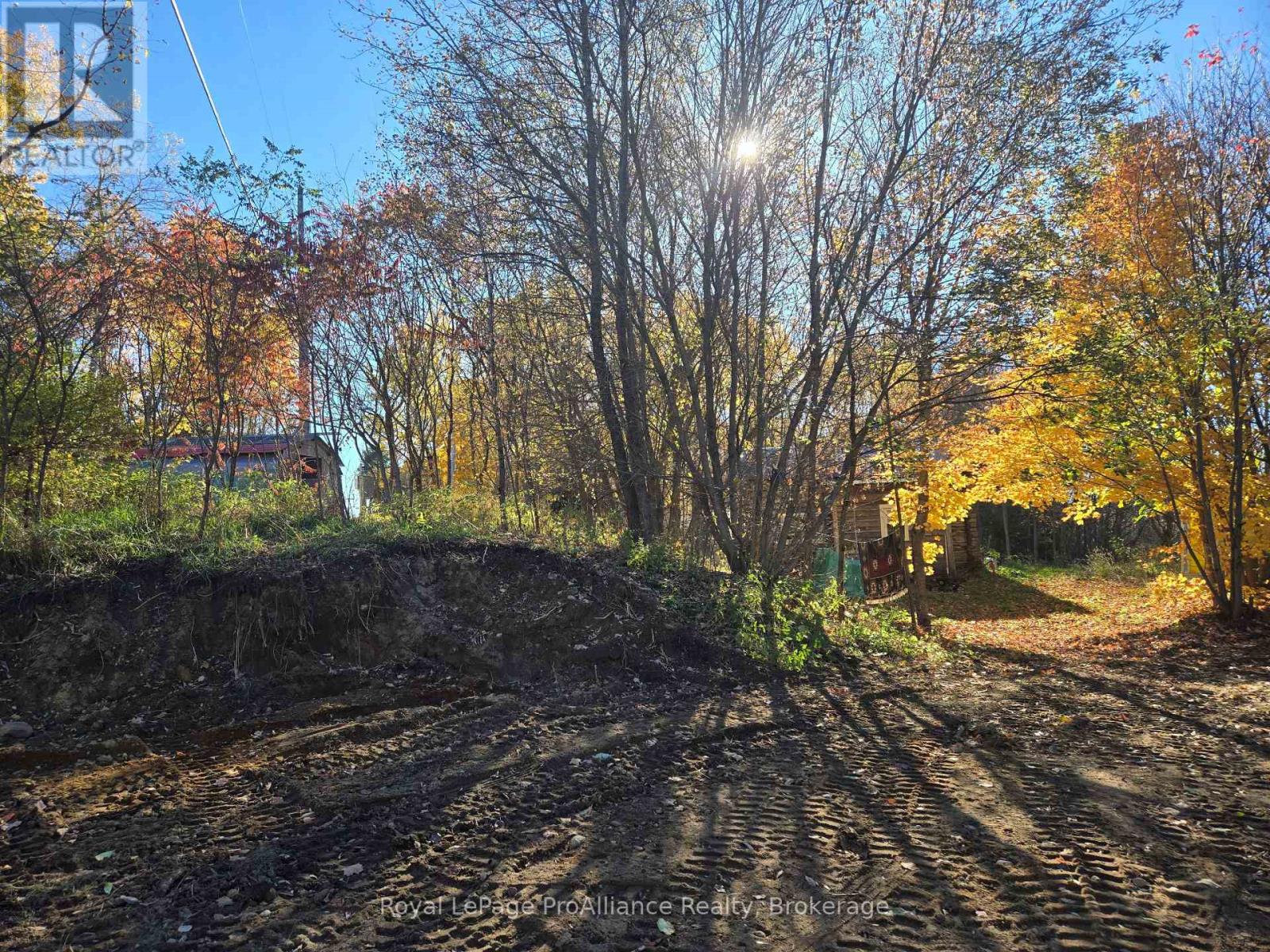 1394 Bordenwood Road, Central Frontenac, Ontario  K0H 1B0 - Photo 13 - X14106756