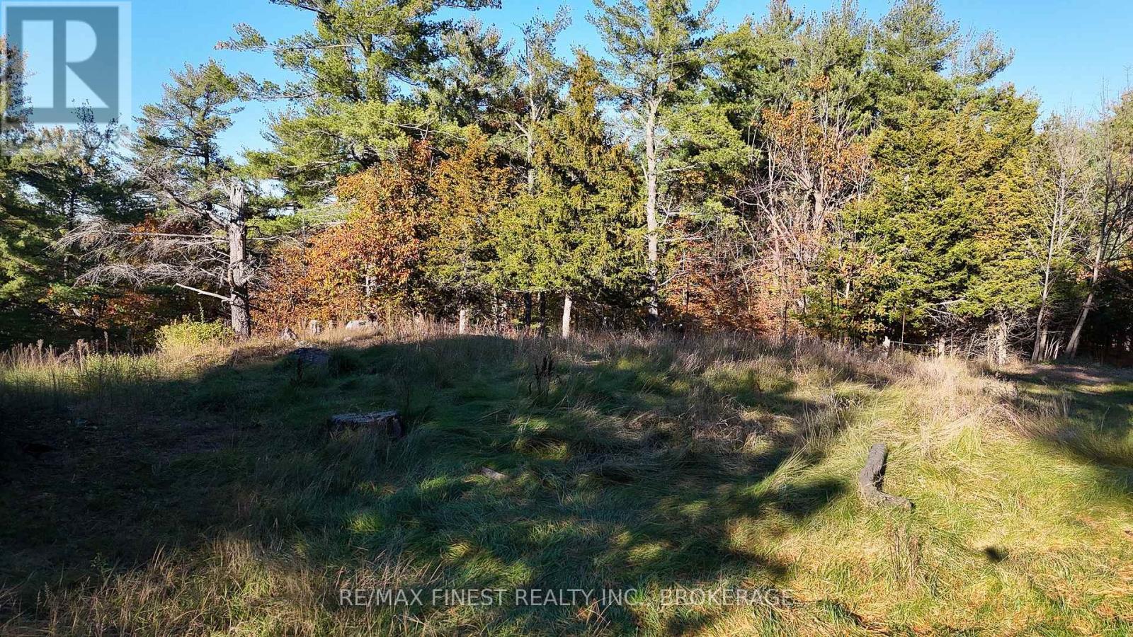 187 Weisiger Lane, Rideau Lakes, Ontario  K7M 1H9 - Photo 10 - X14112178