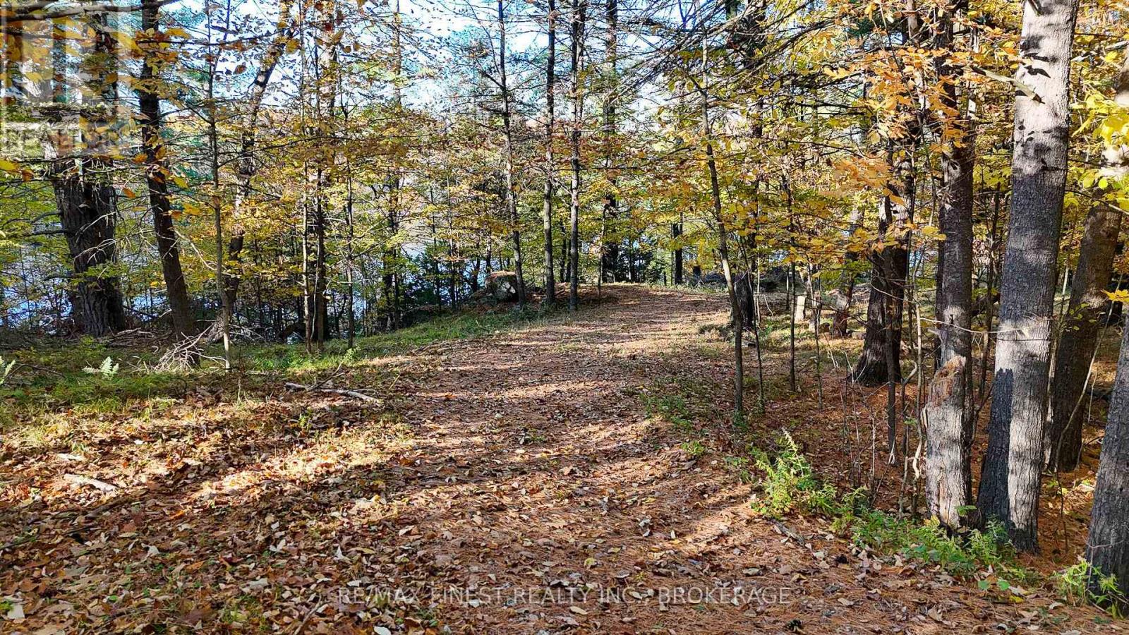 187 Weisiger Lane, Rideau Lakes, Ontario  K7M 1H9 - Photo 23 - X14112178