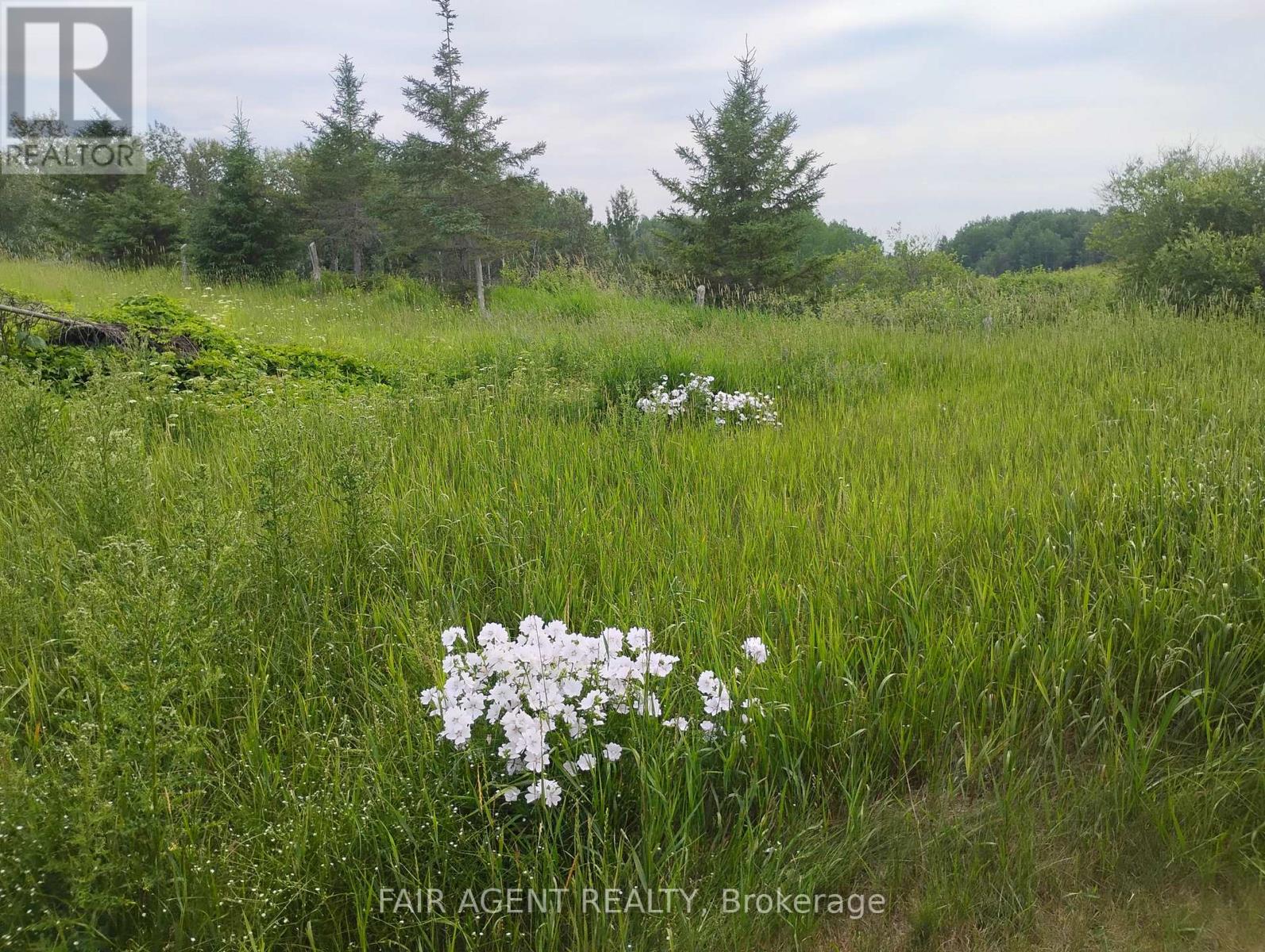 354451 Hwy 624, Englehart (Central Timiskaming), Ontario  P0J 1H0 - Photo 25 - T14112388