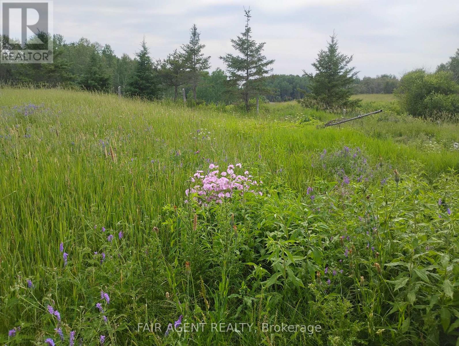 354451 Hwy 624, Englehart (Central Timiskaming), Ontario  P0J 1H0 - Photo 27 - T14112388