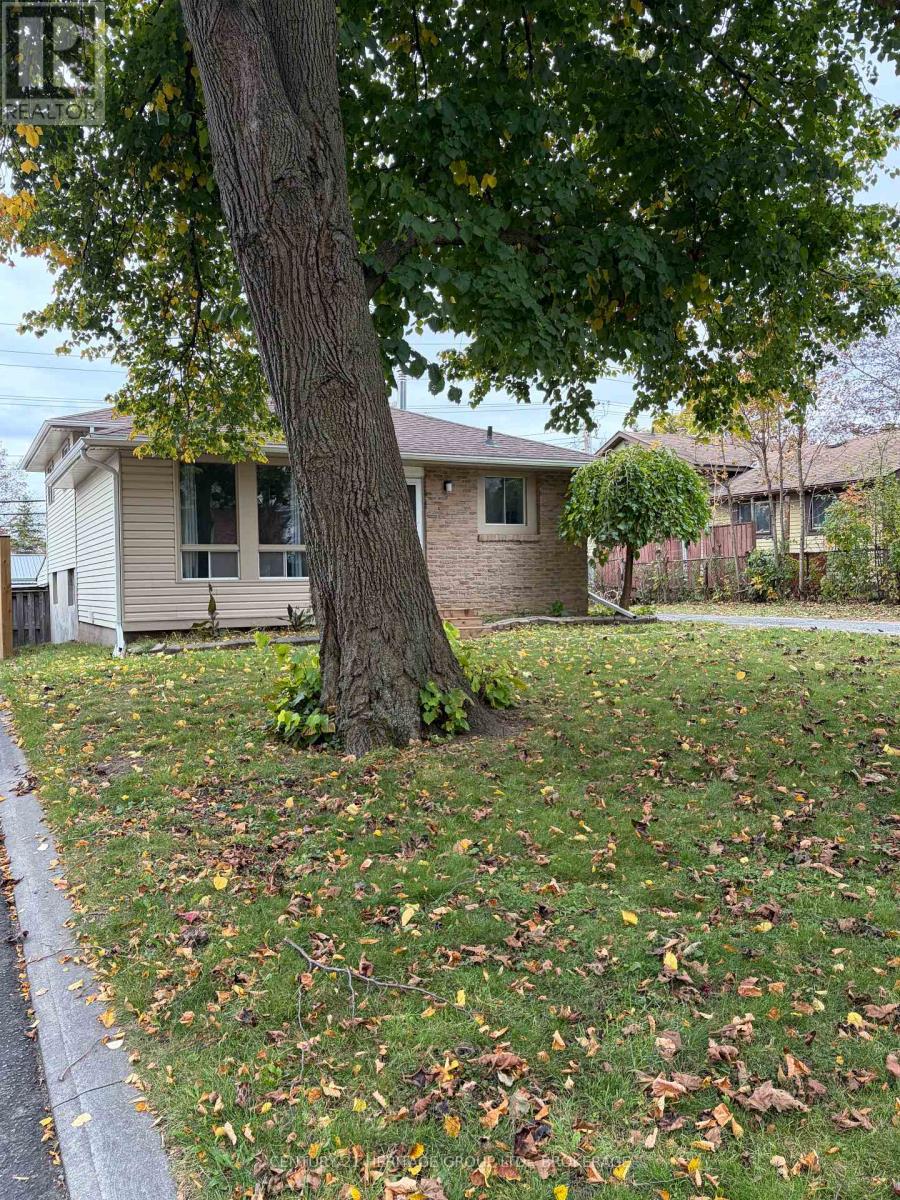 150 Dauphin Avenue, Kingston (Rideau), Ontario  K7K 6B1 - Photo 34 - X14112550