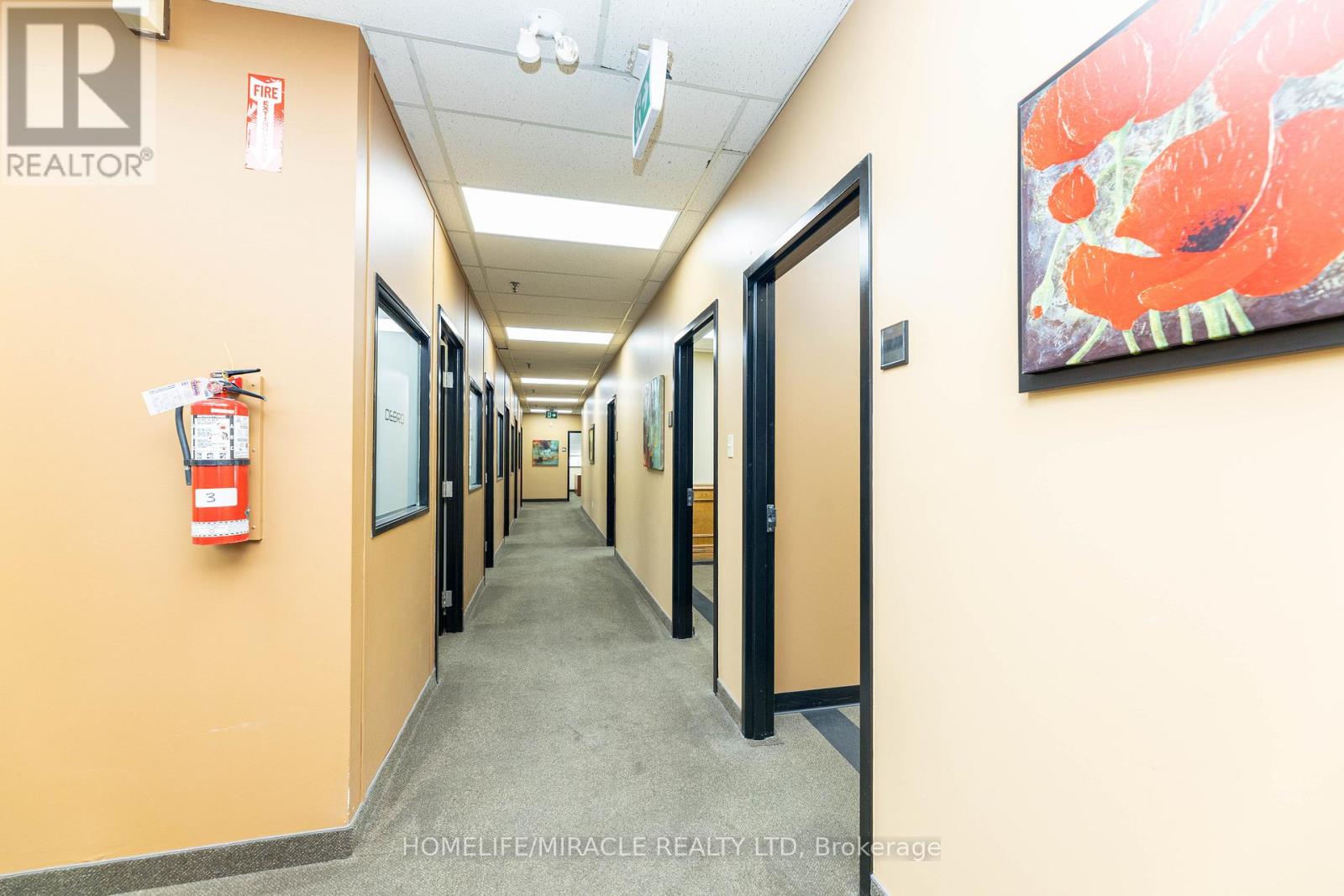 11 Automatic Road E, Brampton (Gore Industrial North), Ontario  L6S 4K6 - Photo 38 - W14112574