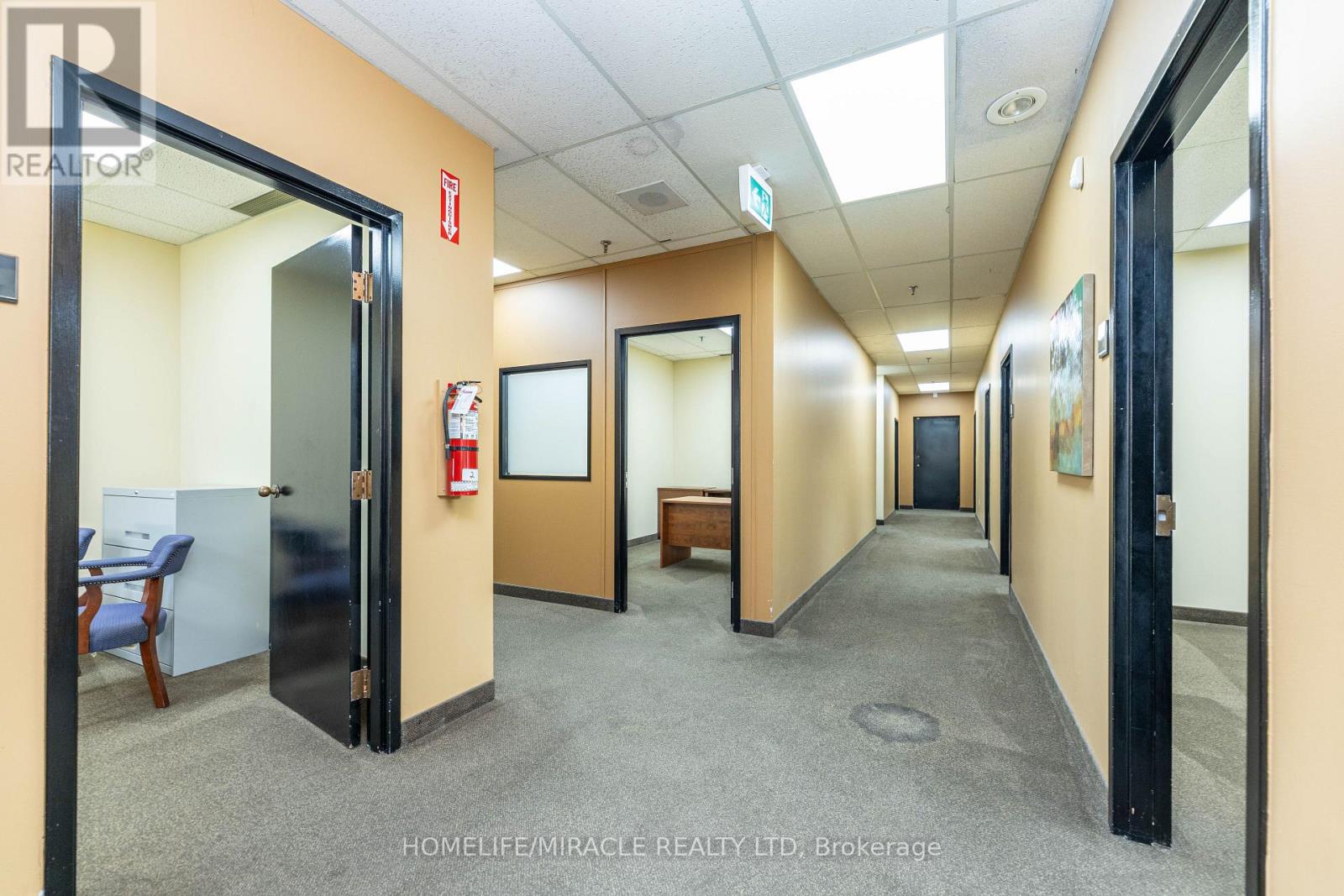 11 Automatic Road E, Brampton (Gore Industrial North), Ontario  L6S 4K6 - Photo 47 - W14112574