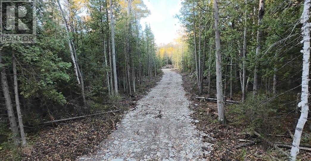N/a Highway 6, Sheguiandah, Ontario  P0P 1W0 - Photo 10 - 2126799