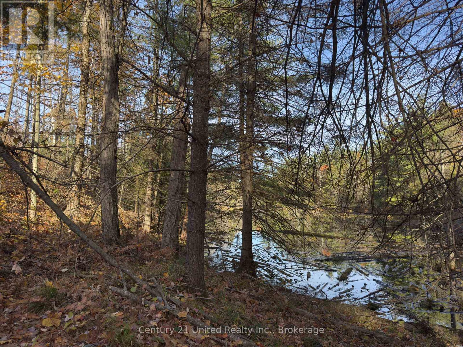 3337 County Rd 46, Havelock-Belmont-Methuen, Ontario  K0L 1Z0 - Photo 23 - X14112486