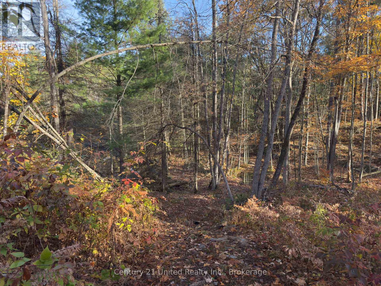 3337 County Rd 46, Havelock-Belmont-Methuen, Ontario  K0L 1Z0 - Photo 21 - X14112486