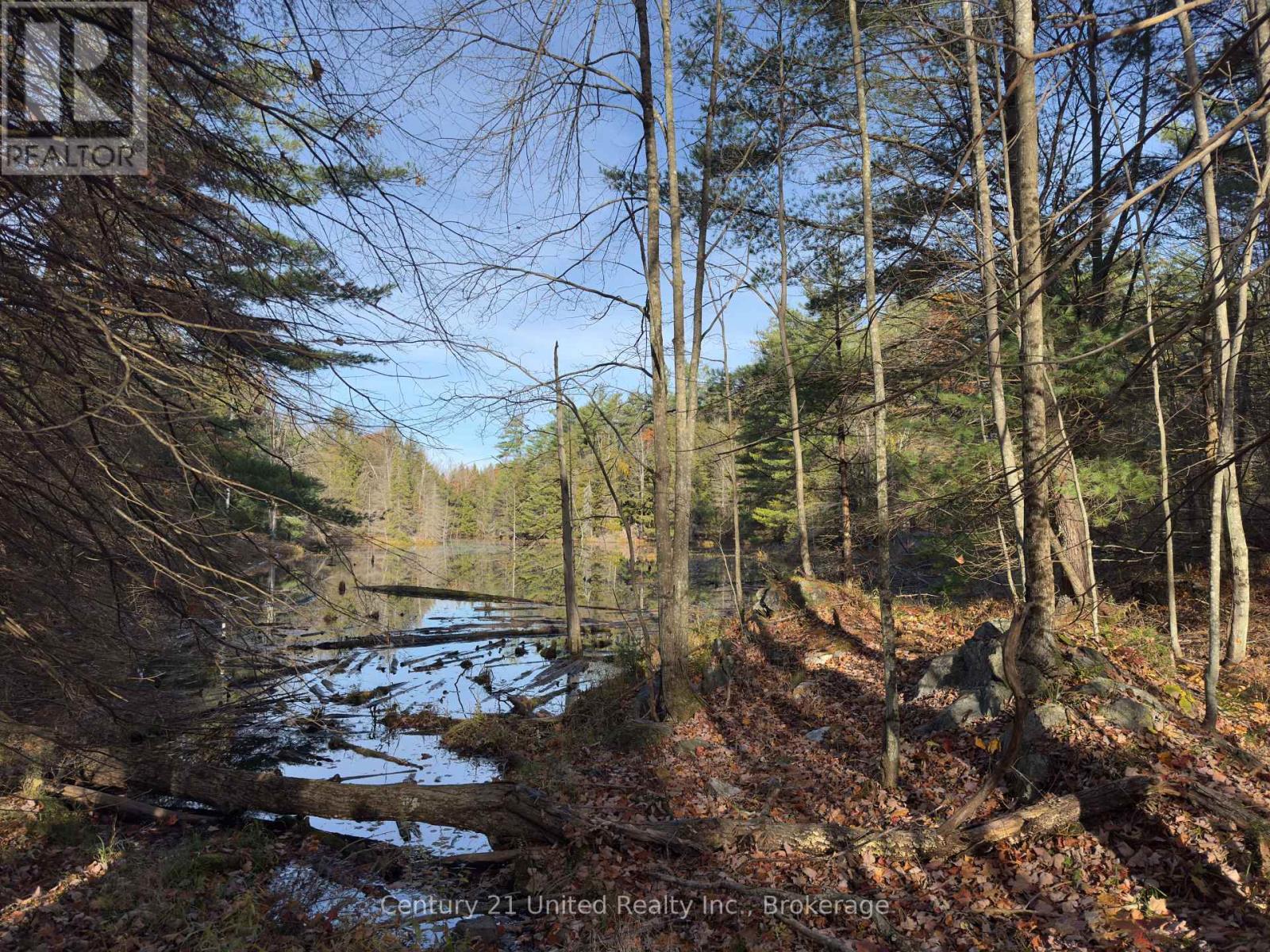 3337 County Rd 46, Havelock-Belmont-Methuen, Ontario  K0L 1Z0 - Photo 24 - X14112486