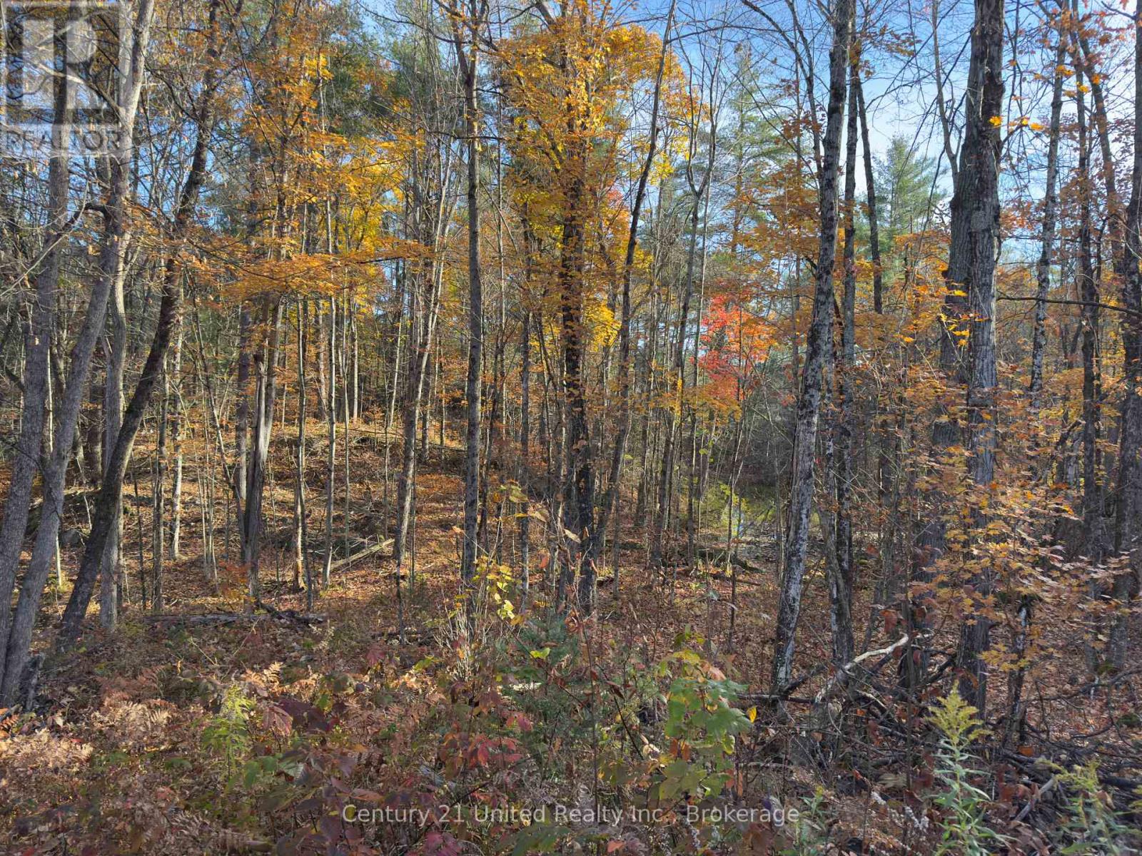 3337 County Rd 46, Havelock-Belmont-Methuen, Ontario  K0L 1Z0 - Photo 20 - X14112486