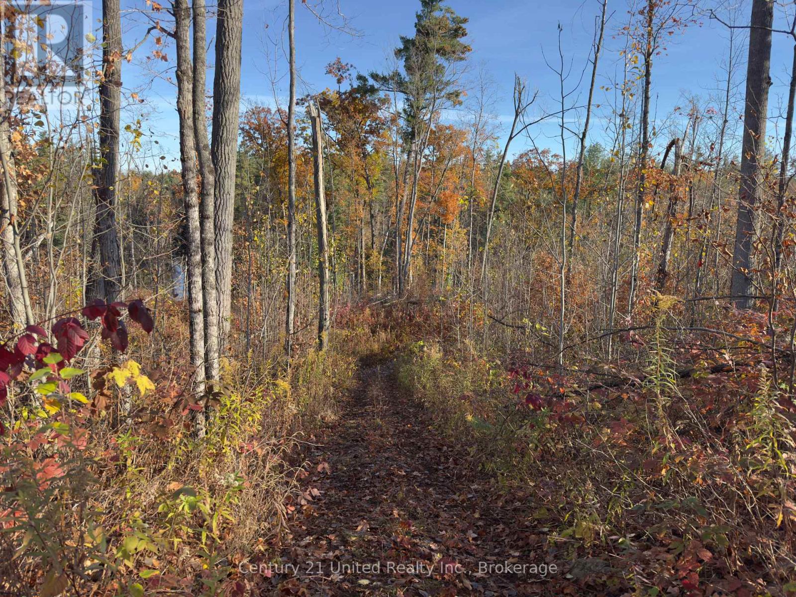 3337 County Rd 46, Havelock-Belmont-Methuen, Ontario  K0L 1Z0 - Photo 18 - X14112486