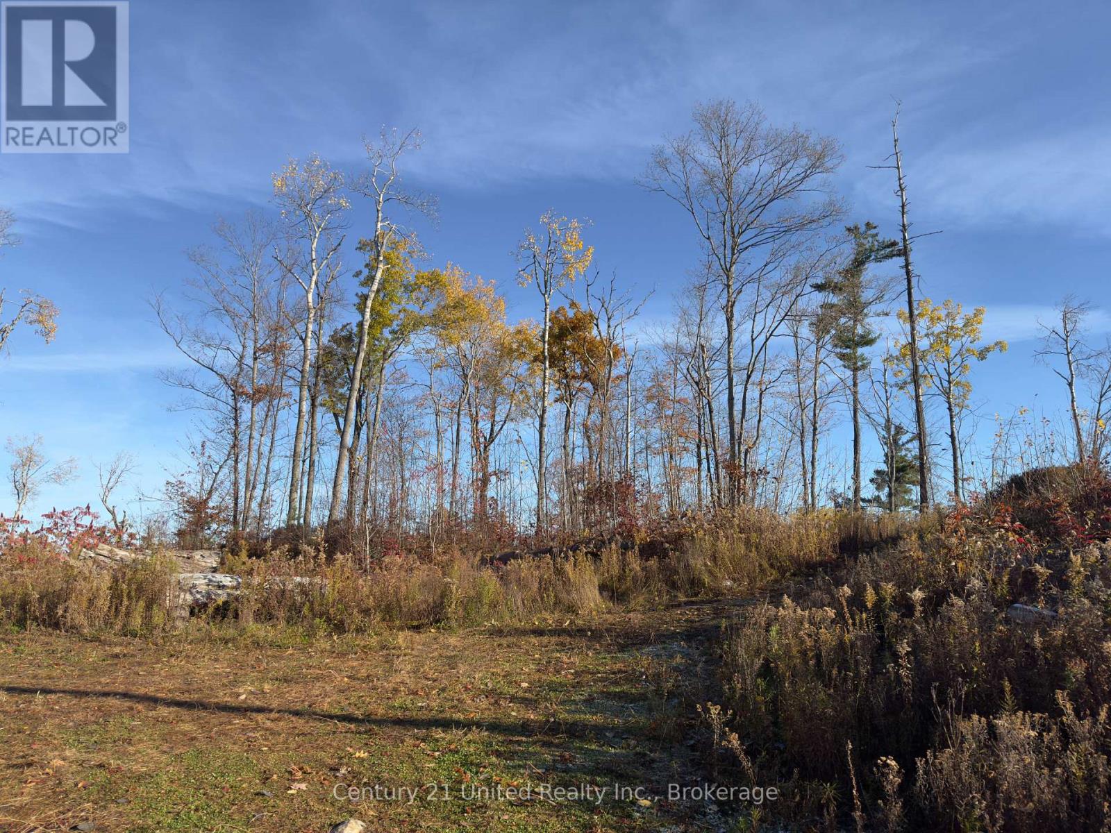 3337 County Rd 46, Havelock-Belmont-Methuen, Ontario  K0L 1Z0 - Photo 14 - X14112486