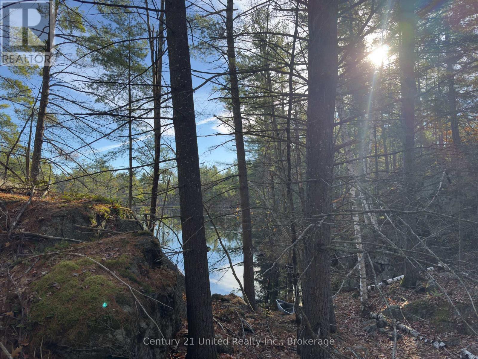 3337 County Rd 46, Havelock-Belmont-Methuen, Ontario  K0L 1Z0 - Photo 33 - X14112486