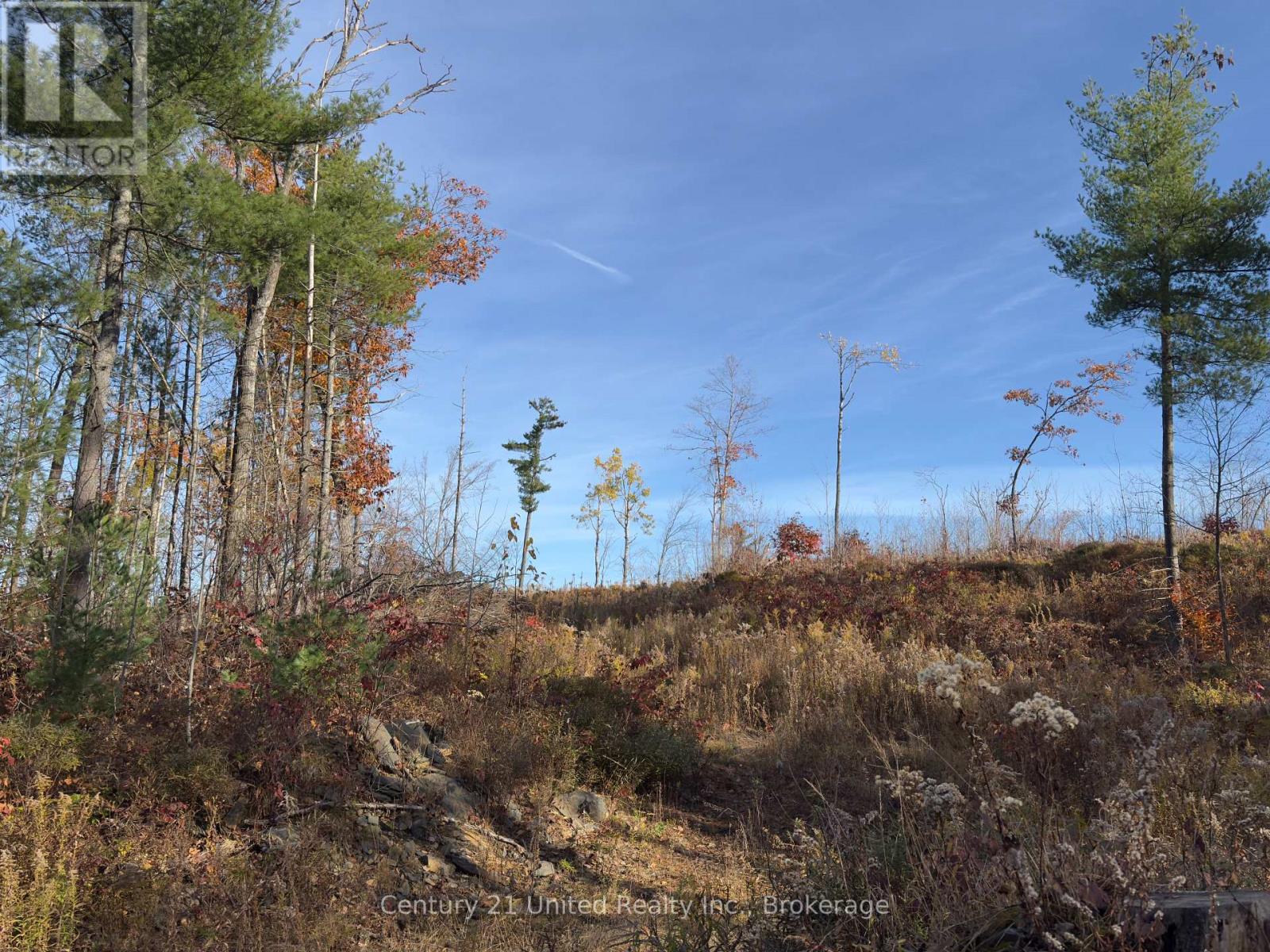 3337 County Rd 46, Havelock-Belmont-Methuen, Ontario  K0L 1Z0 - Photo 36 - X14112486