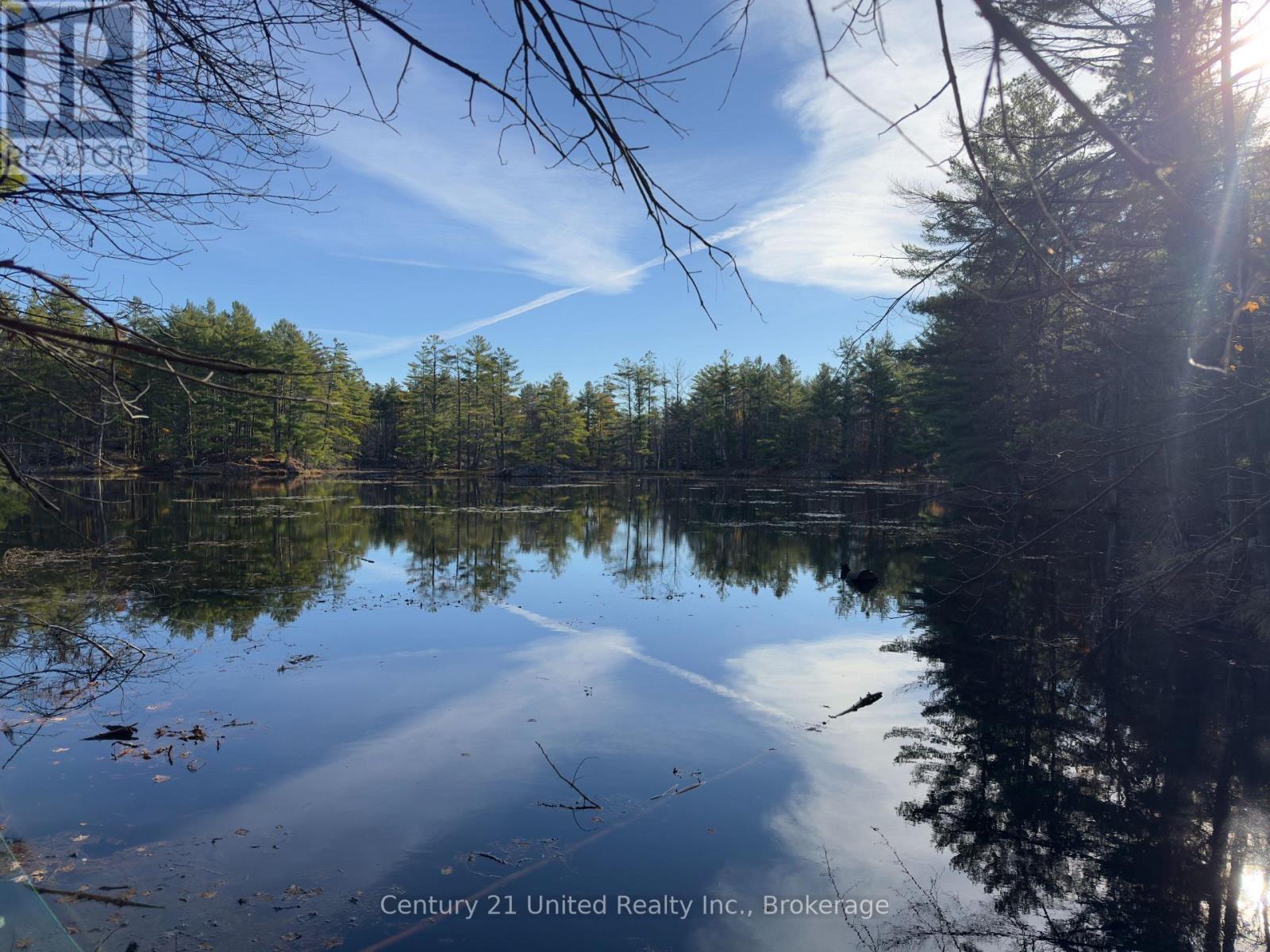 3337 County Rd 46, Havelock-Belmont-Methuen, Ontario  K0L 1Z0 - Photo 30 - X14112486