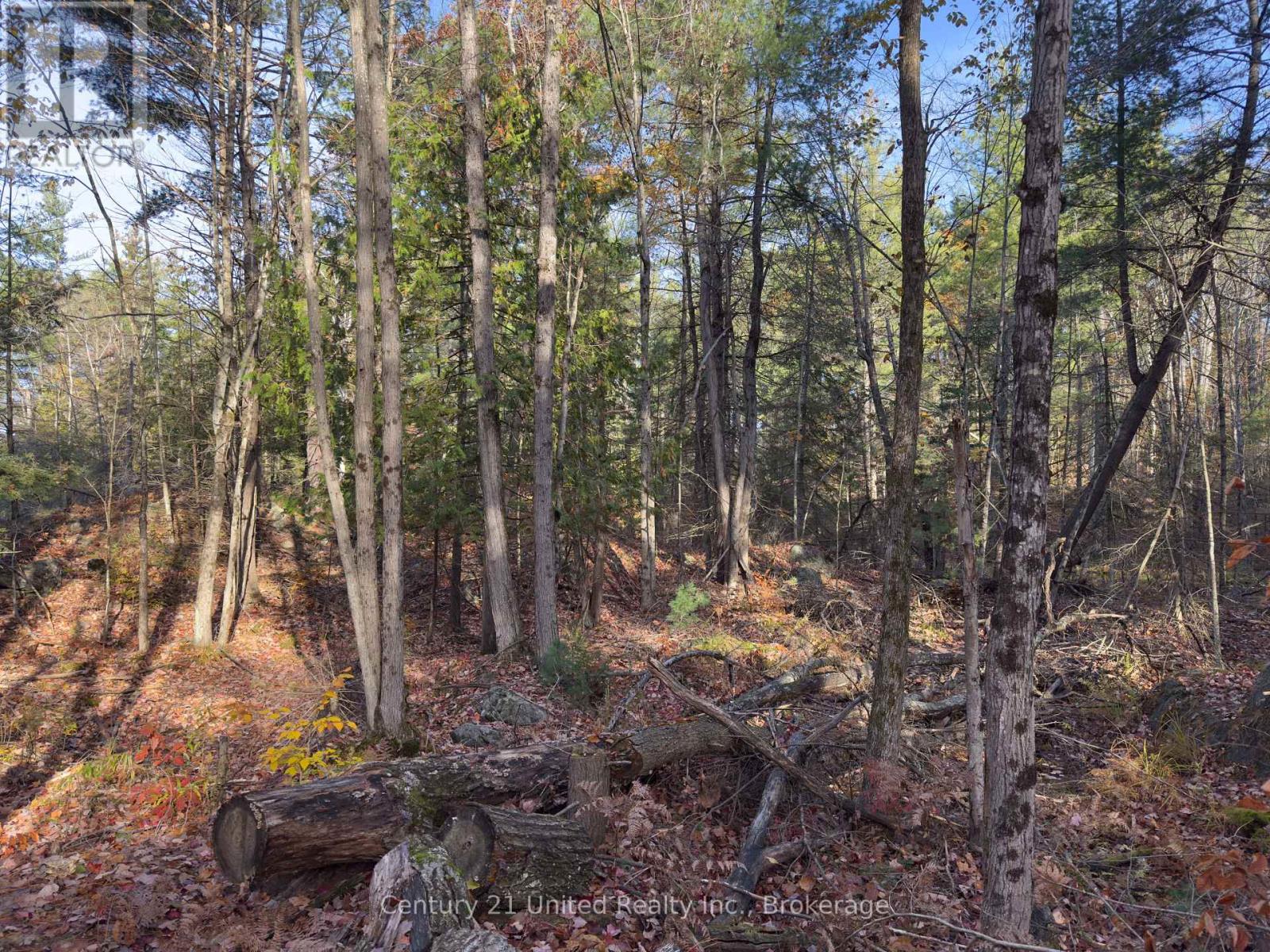 3337 County Rd 46, Havelock-Belmont-Methuen, Ontario  K0L 1Z0 - Photo 27 - X14112486