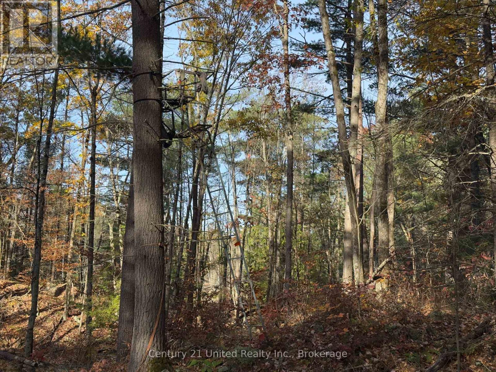 3337 County Rd 46, Havelock-Belmont-Methuen, Ontario  K0L 1Z0 - Photo 35 - X14112486