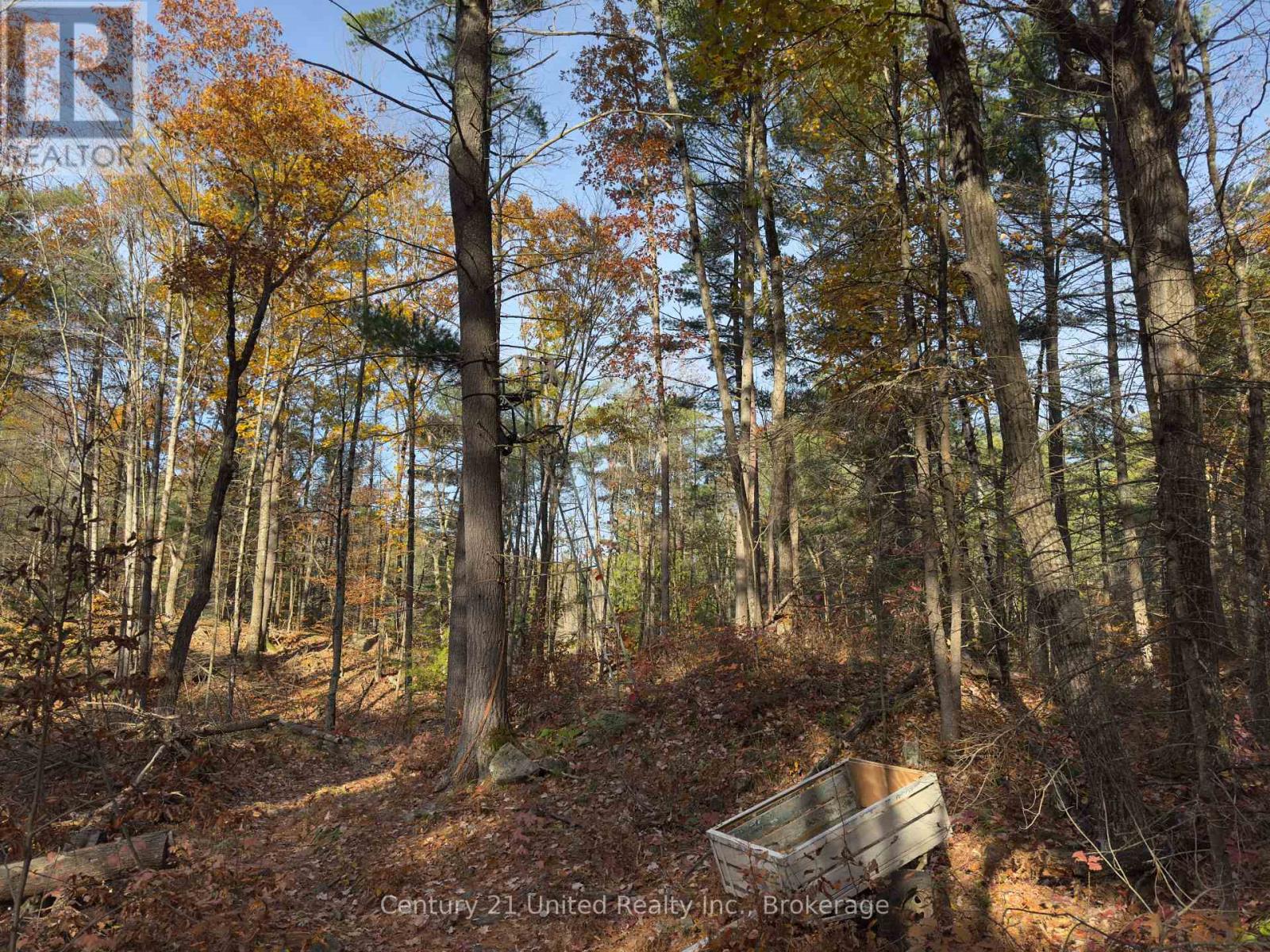 3337 County Rd 46, Havelock-Belmont-Methuen, Ontario  K0L 1Z0 - Photo 34 - X14112486