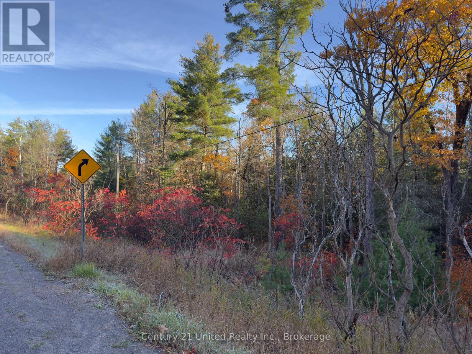 3337 County Rd 46, Havelock-Belmont-Methuen, Ontario  K0L 1Z0 - Photo 37 - X14112486
