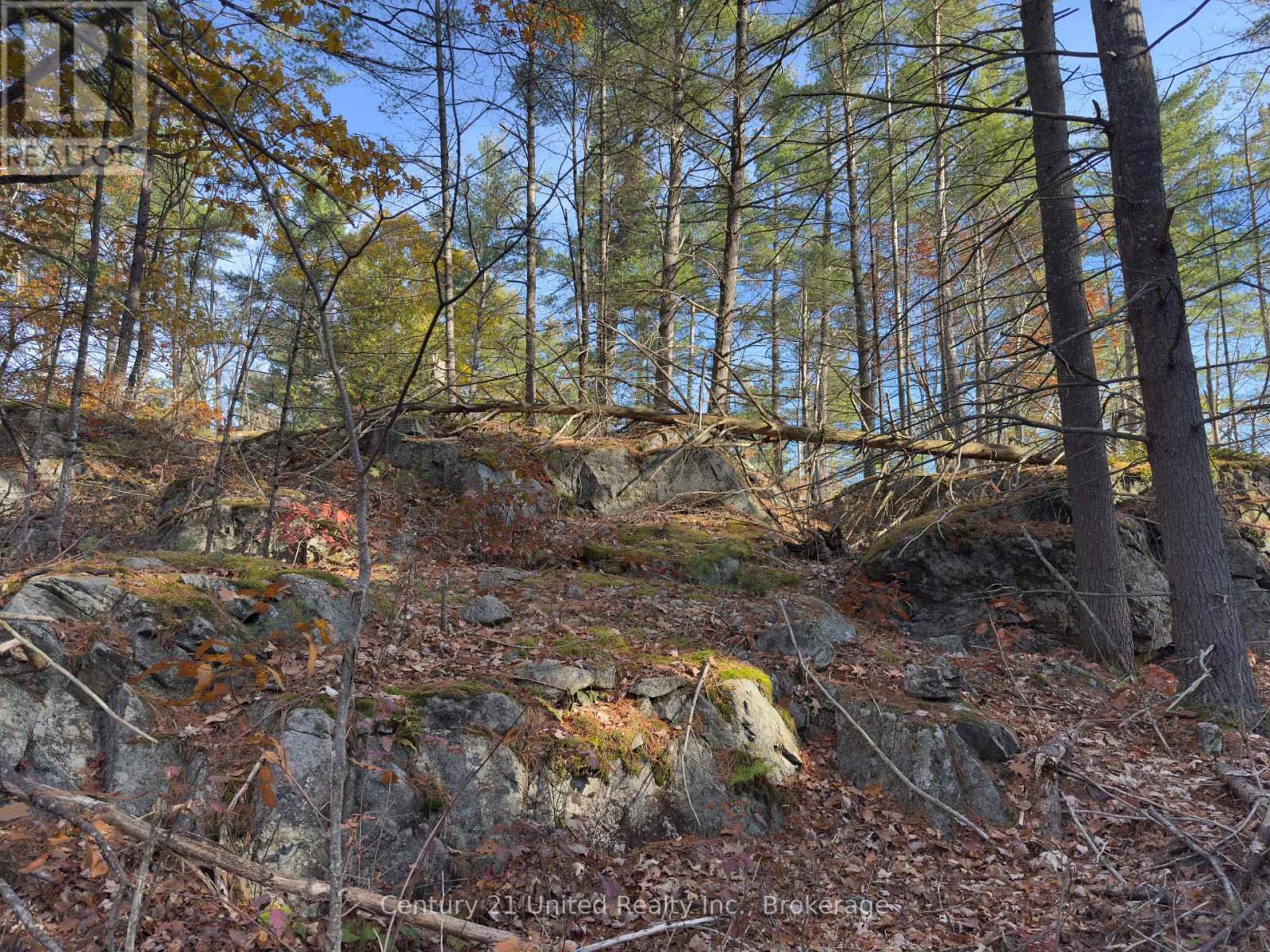 3337 County Rd 46, Havelock-Belmont-Methuen, Ontario  K0L 1Z0 - Photo 41 - X14112486