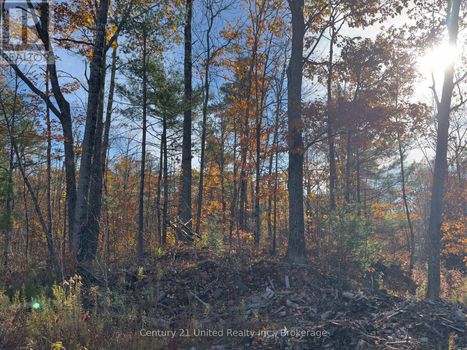 3337 County Rd 46, Havelock-Belmont-Methuen, Ontario  K0L 1Z0 - Photo 42 - X14112486