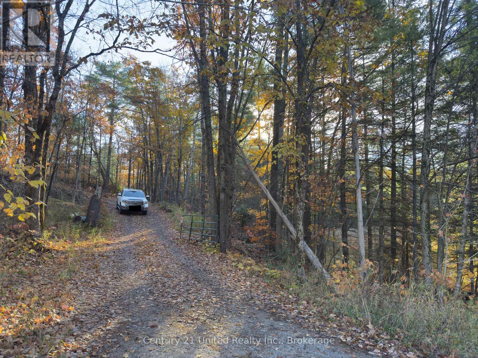 3337 County Rd 46, Havelock-Belmont-Methuen, Ontario  K0L 1Z0 - Photo 5 - X14112486