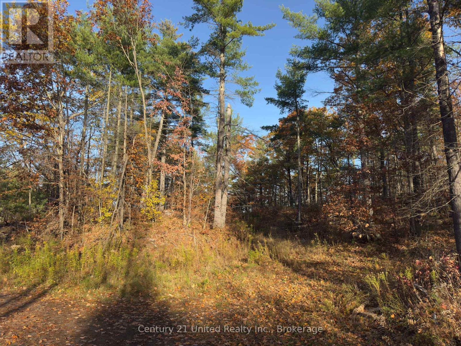 3337 County Rd 46, Havelock-Belmont-Methuen, Ontario  K0L 1Z0 - Photo 9 - X14112486