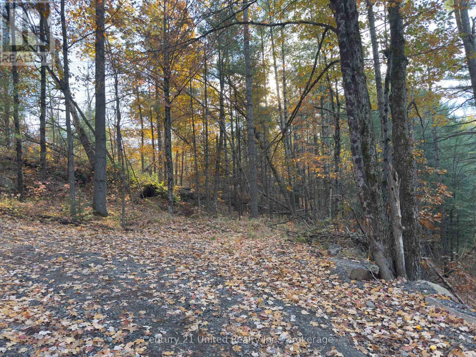 3337 County Rd 46, Havelock-Belmont-Methuen, Ontario  K0L 1Z0 - Photo 7 - X14112486