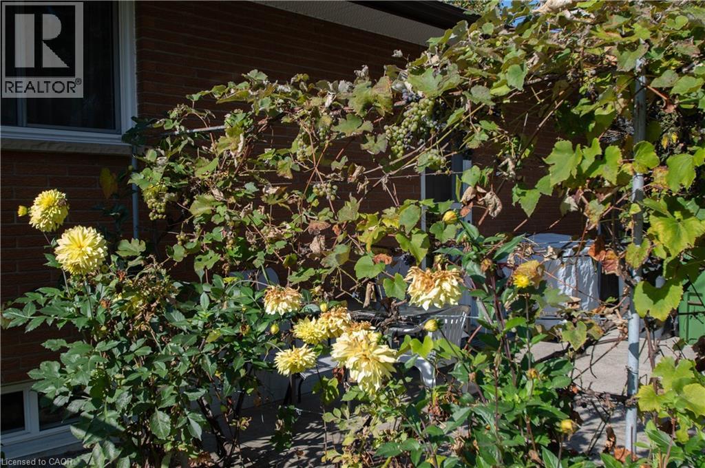 477 Delcrest Avenue, Delhi, Ontario  N4B 2T6 - Photo 11 - 40873676