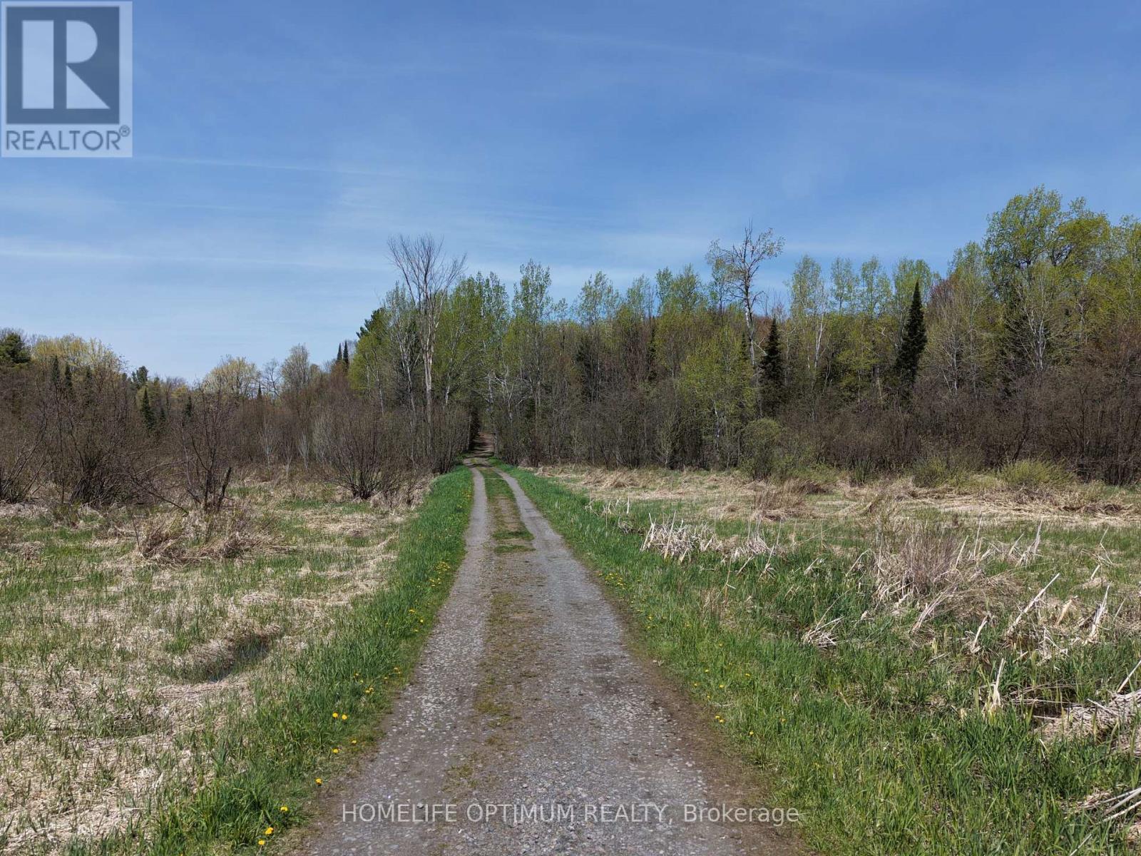 Pt Lt 4-5 Con 13 Henry Road, Bracebridge, Ontario  P1L 1X2 - Photo 10 - X14113018